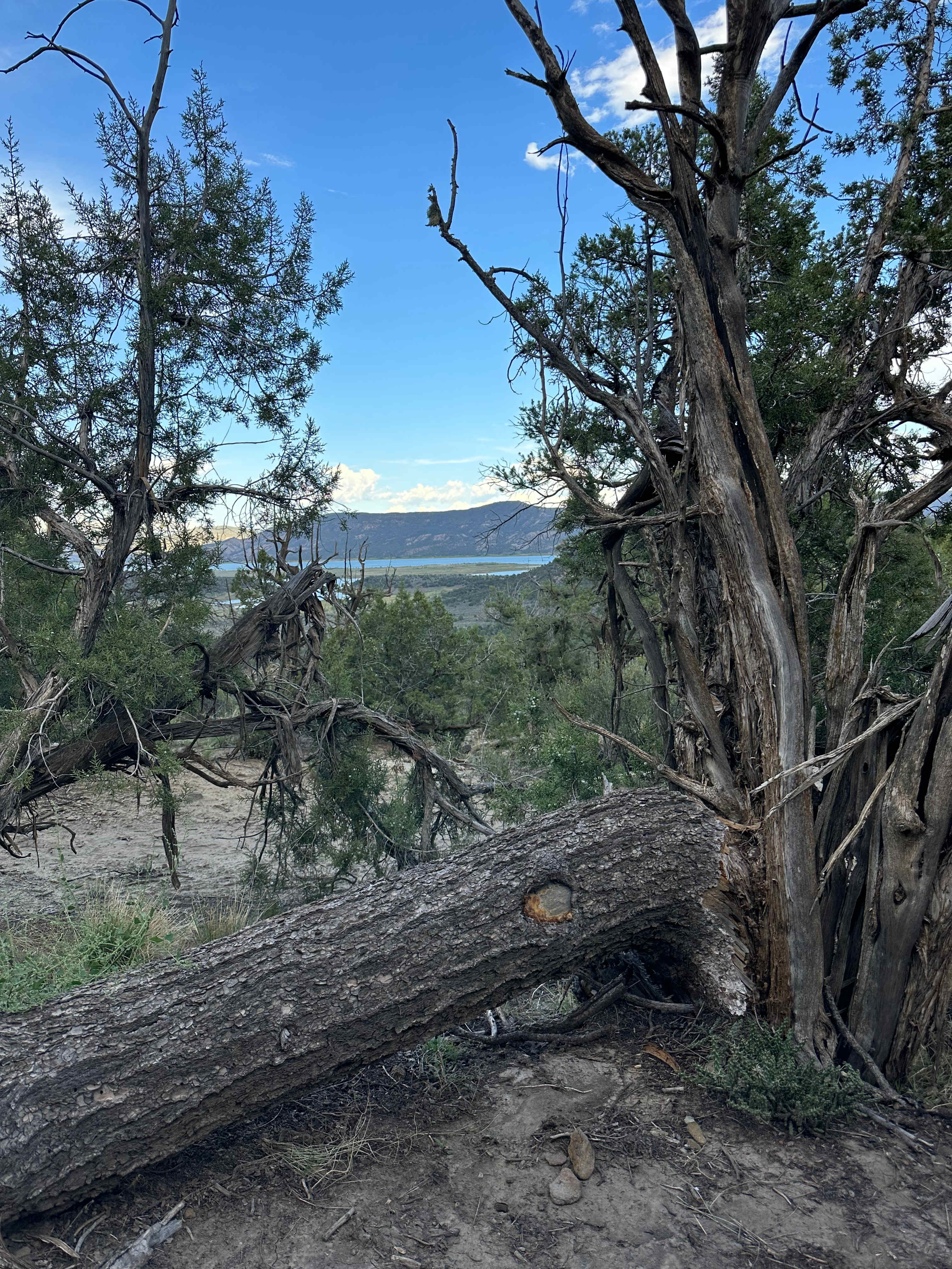 Eagle Ridge Luxury Camps