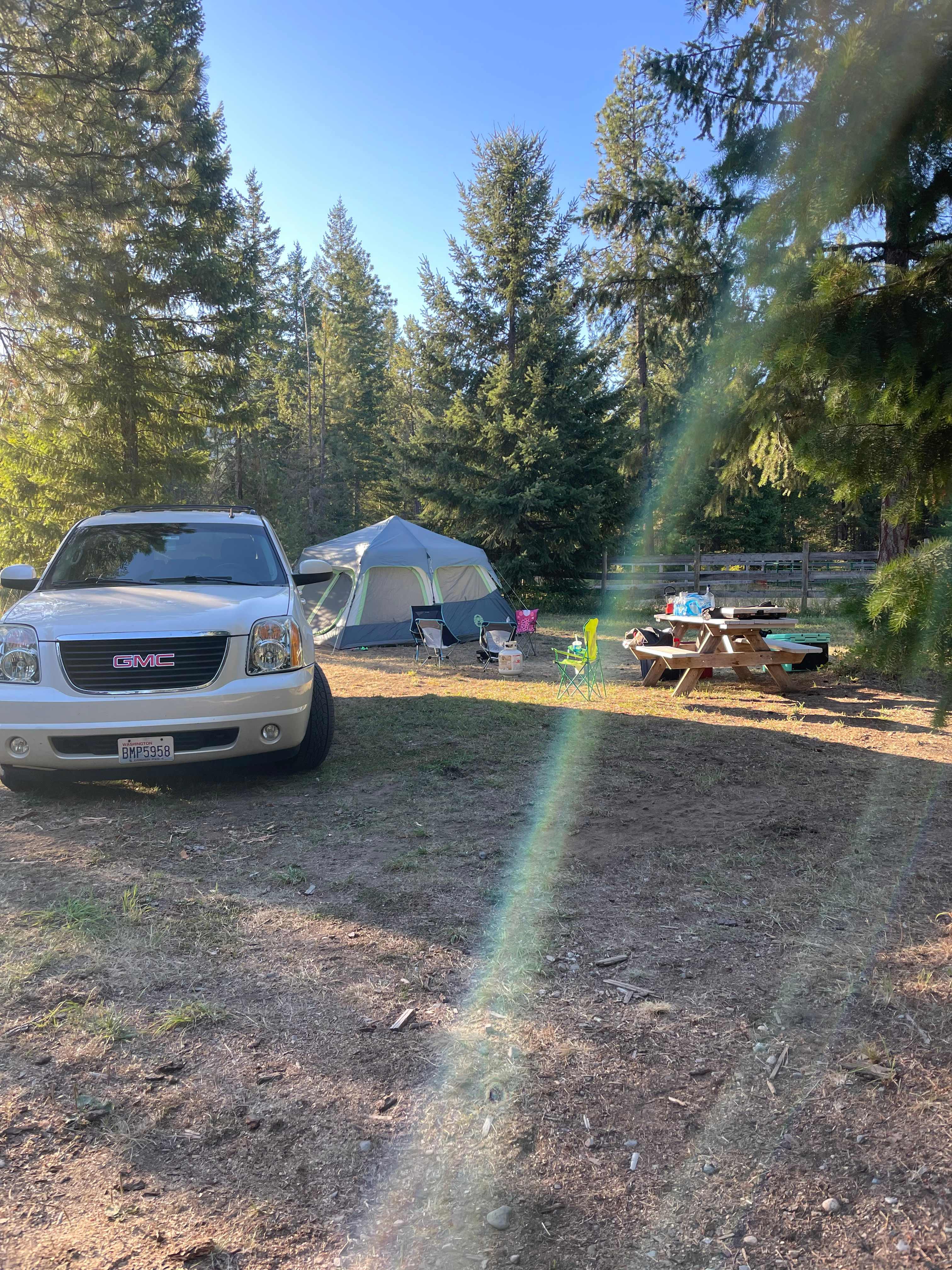Picture of the site