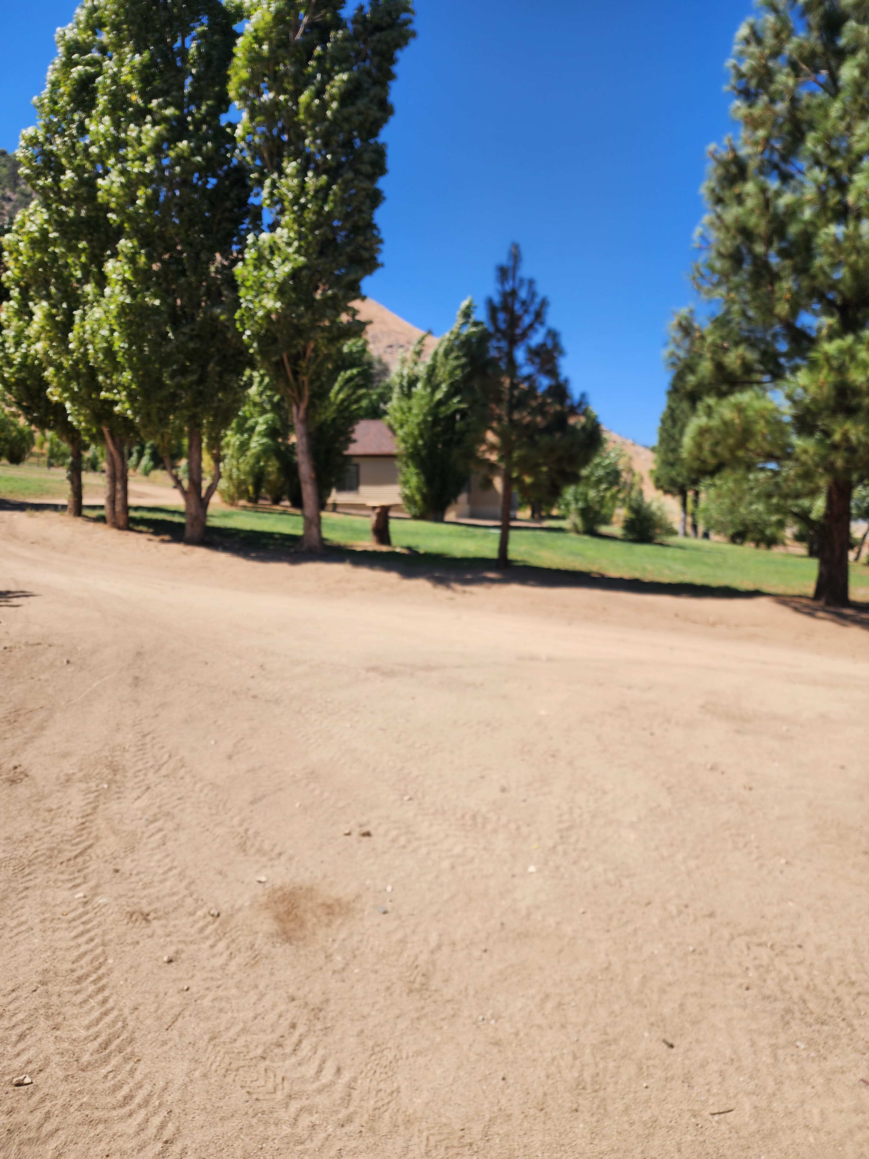 The 395 Ranch,  Seclusion & Views!