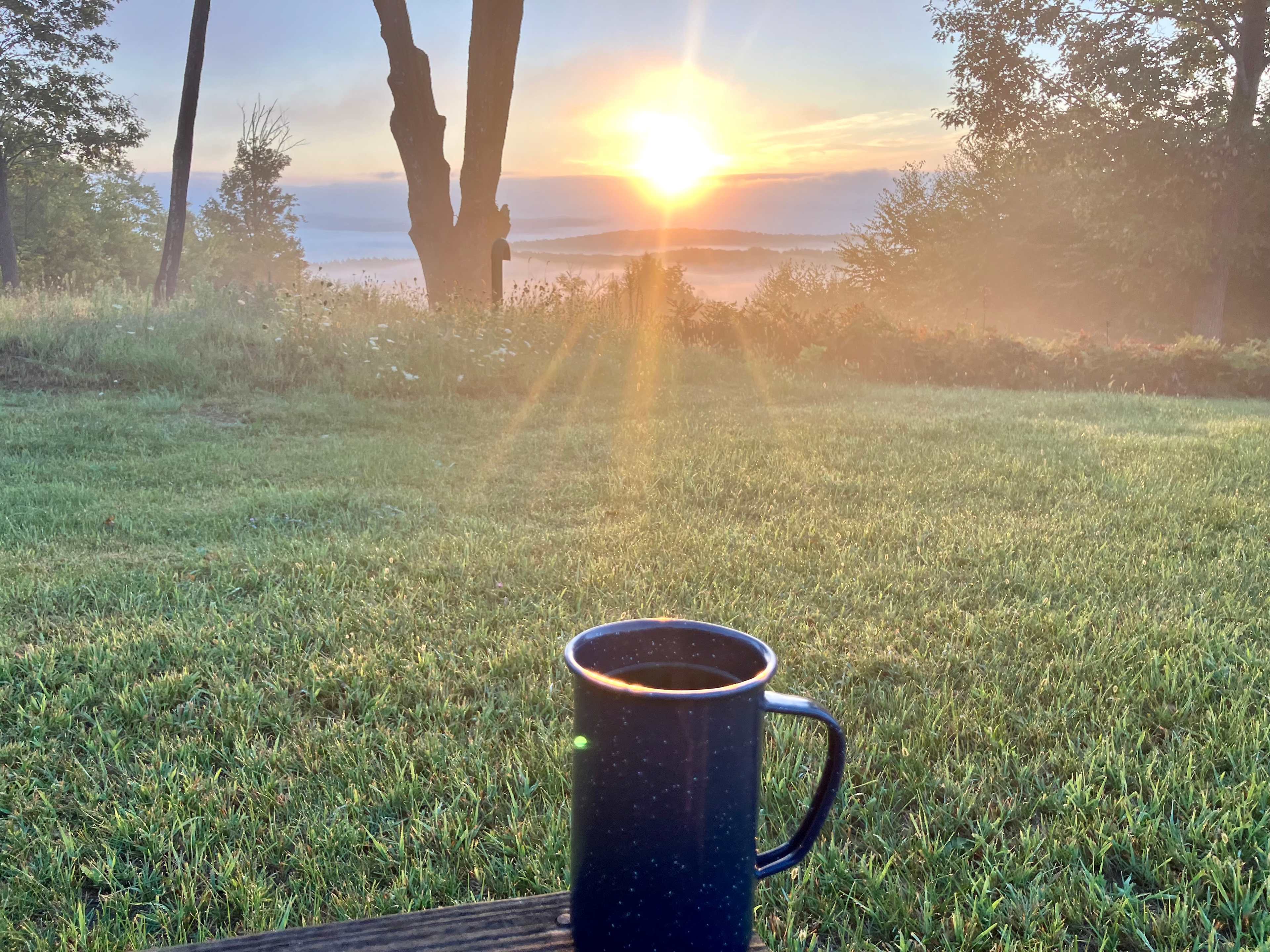 Good morning sunshine!
