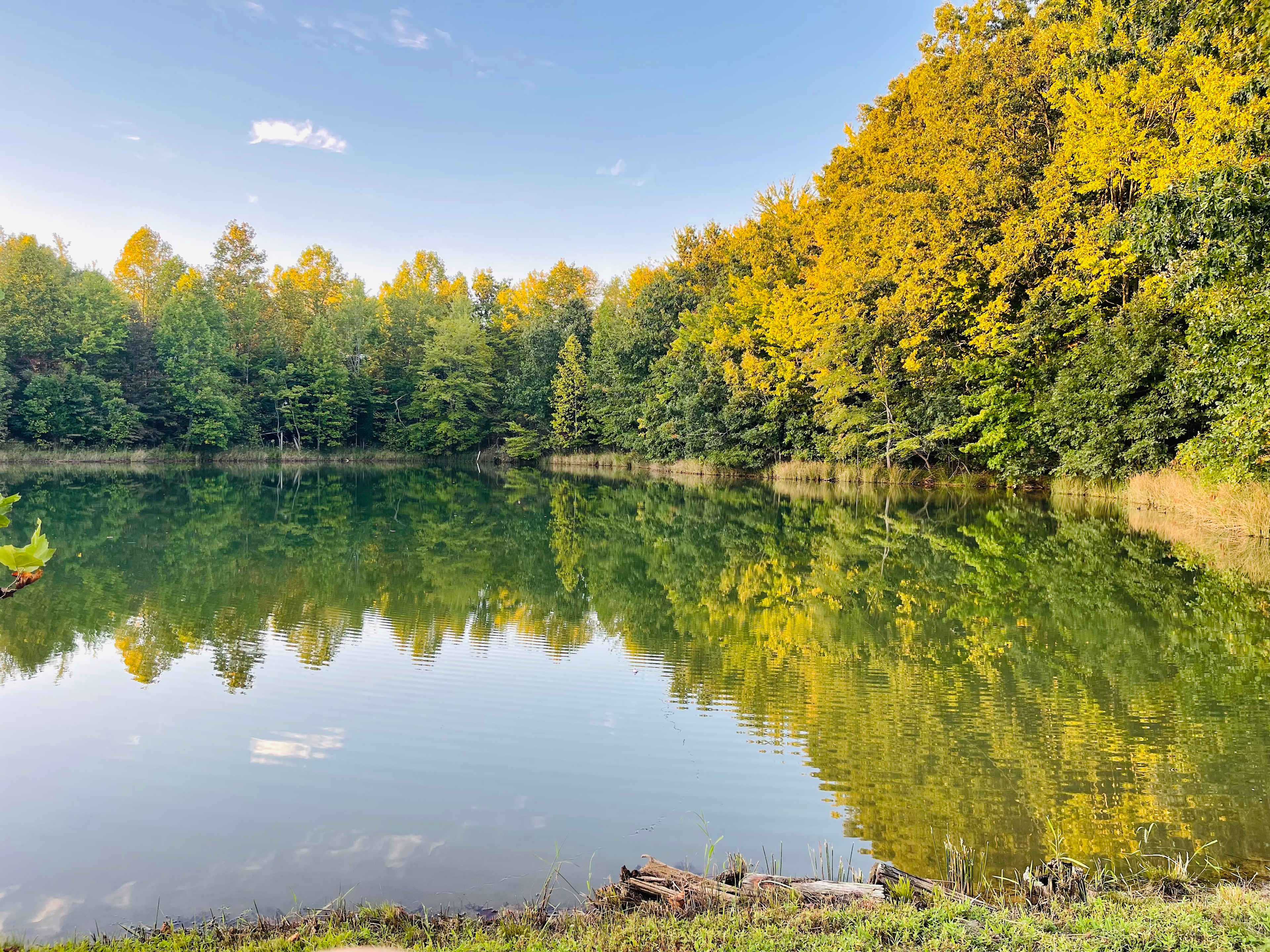Lake View camping