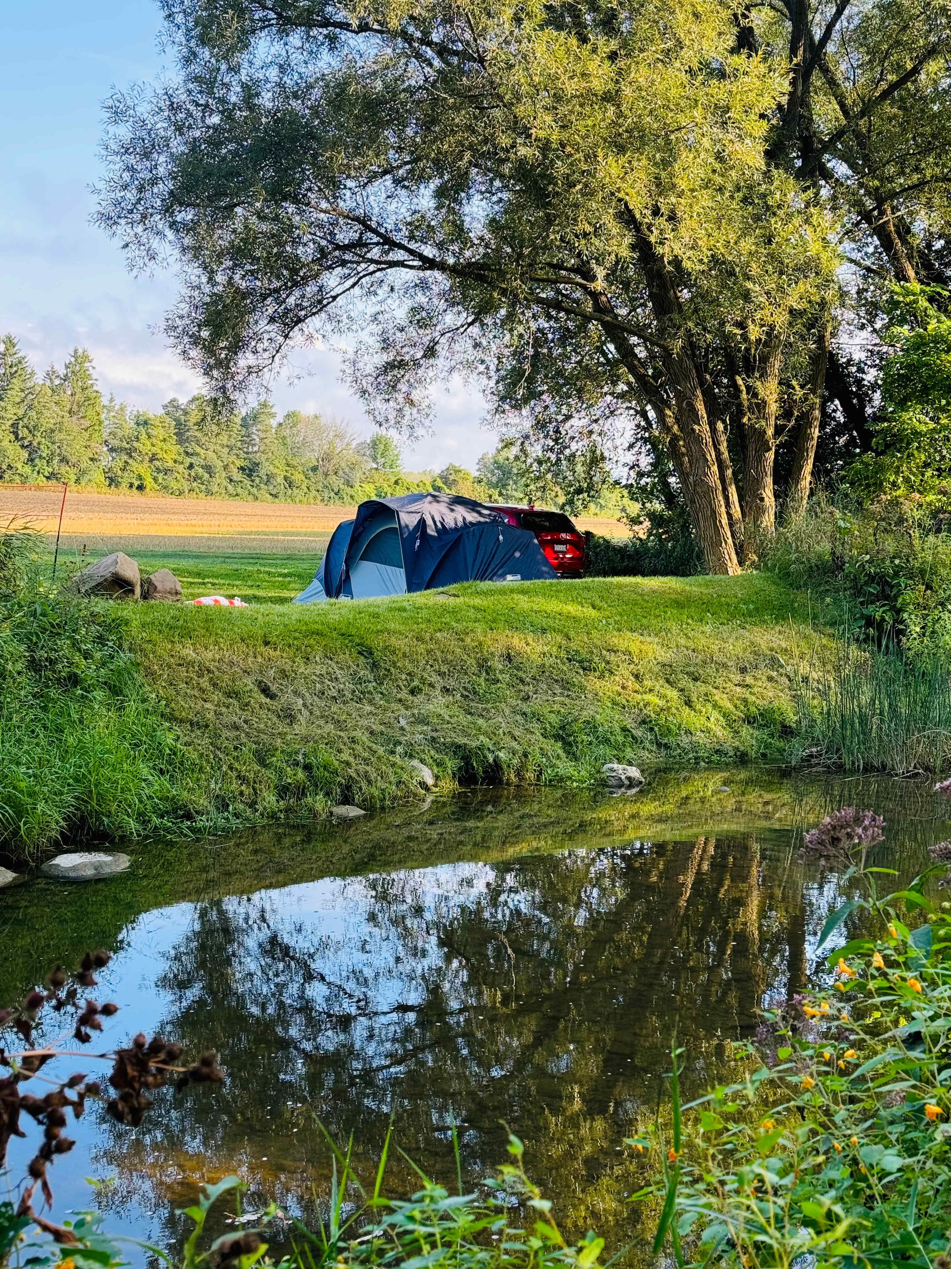 Picture of our camp from other side of the creek