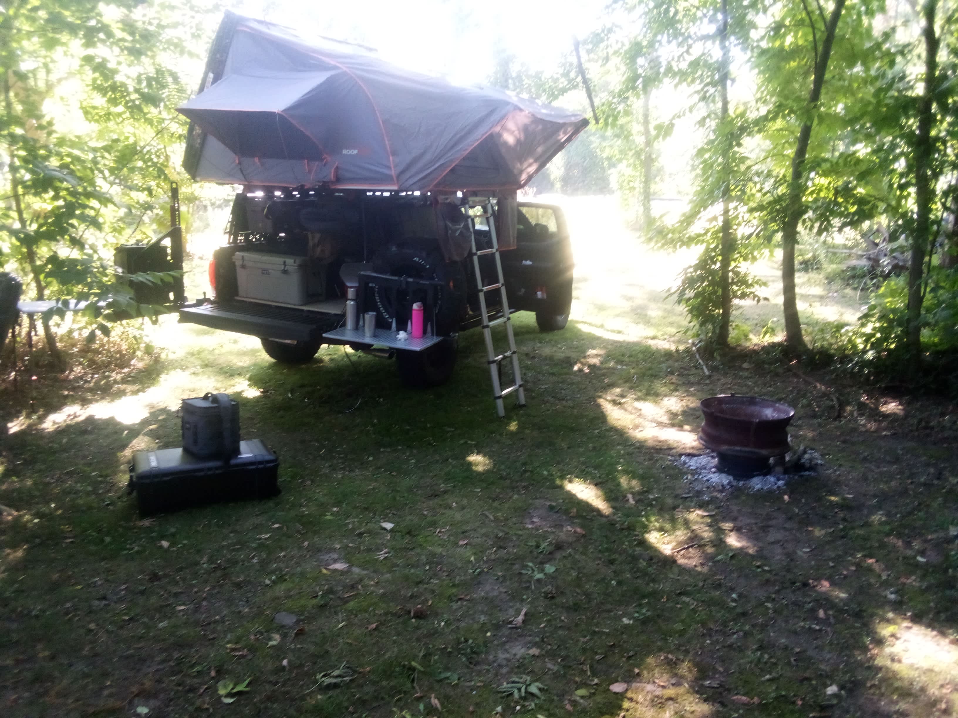 Picture of the site