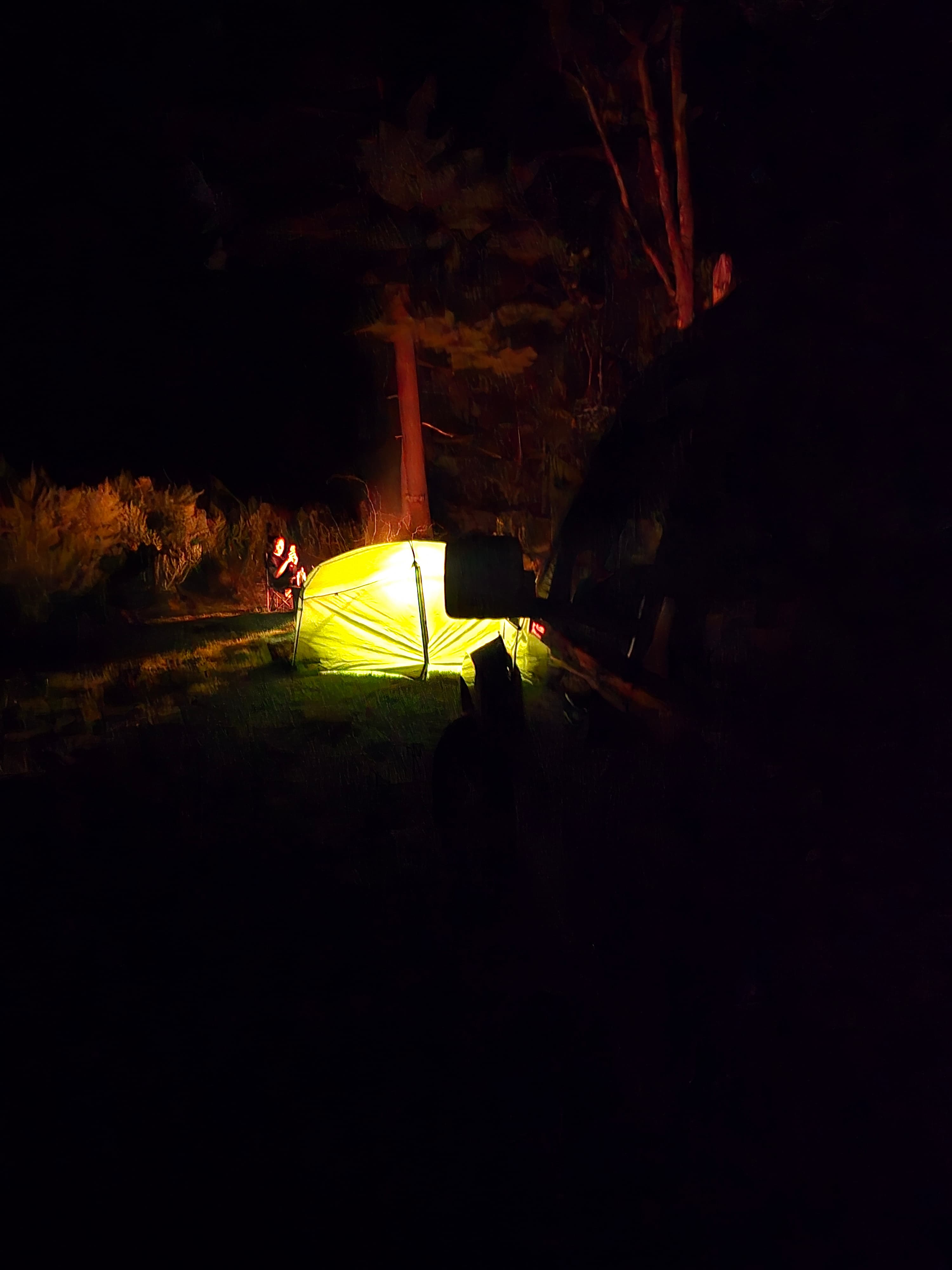 Haines Falls Mountain Camping