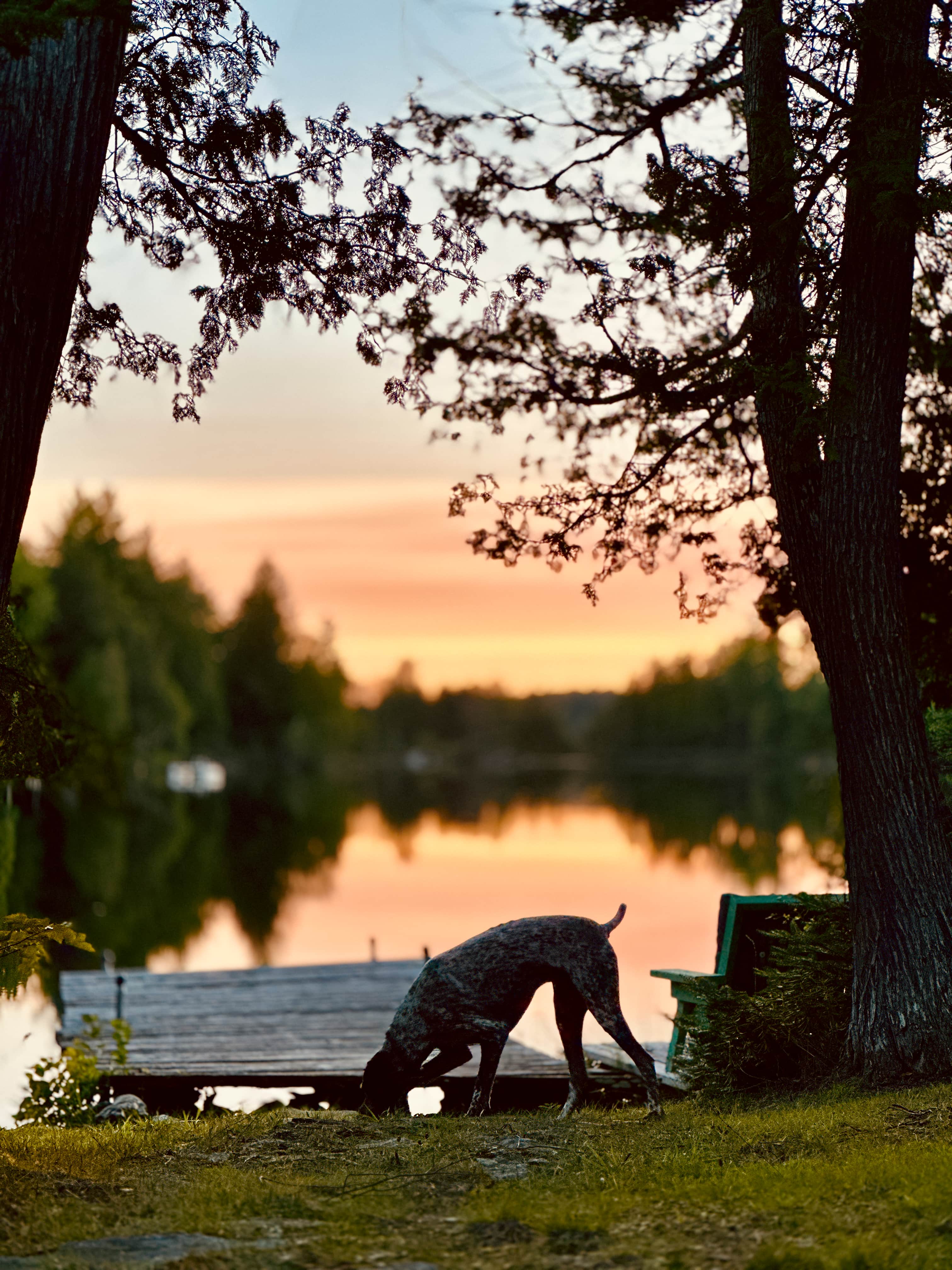 Little Brocky Lake Cabin & Sauna