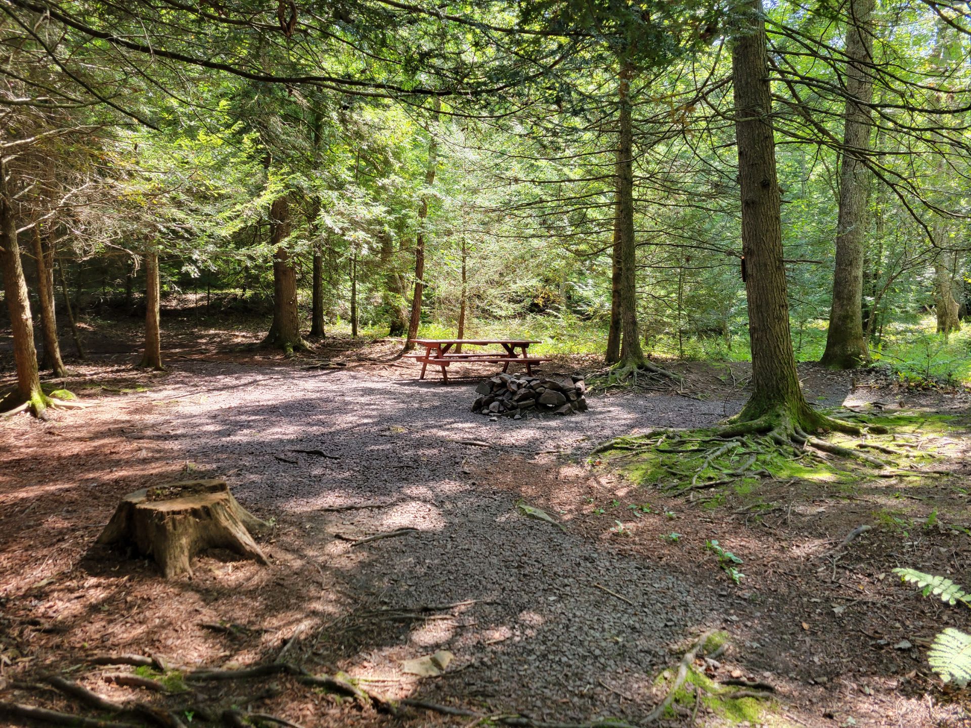 Picture of the site