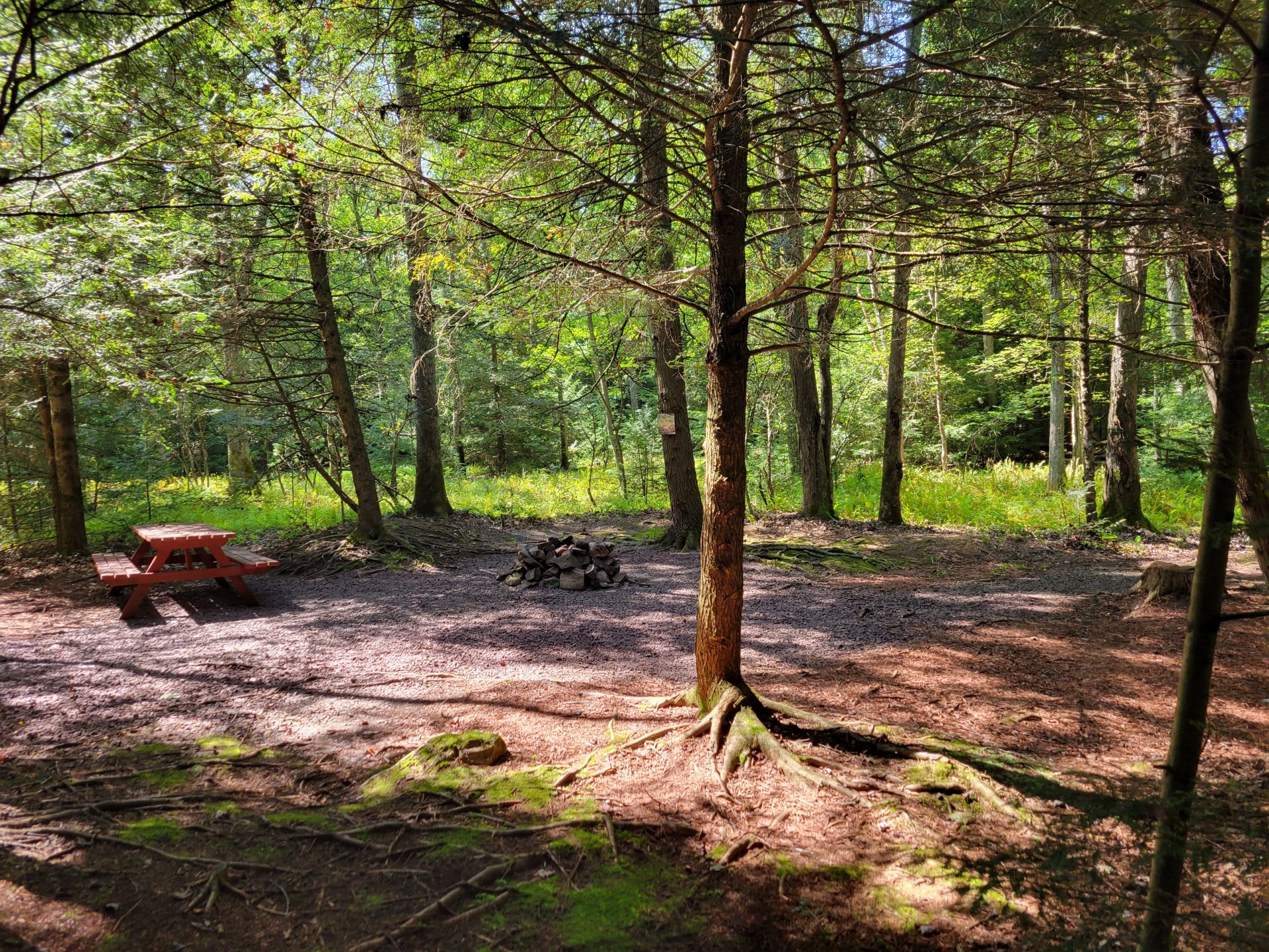 Picture of the site