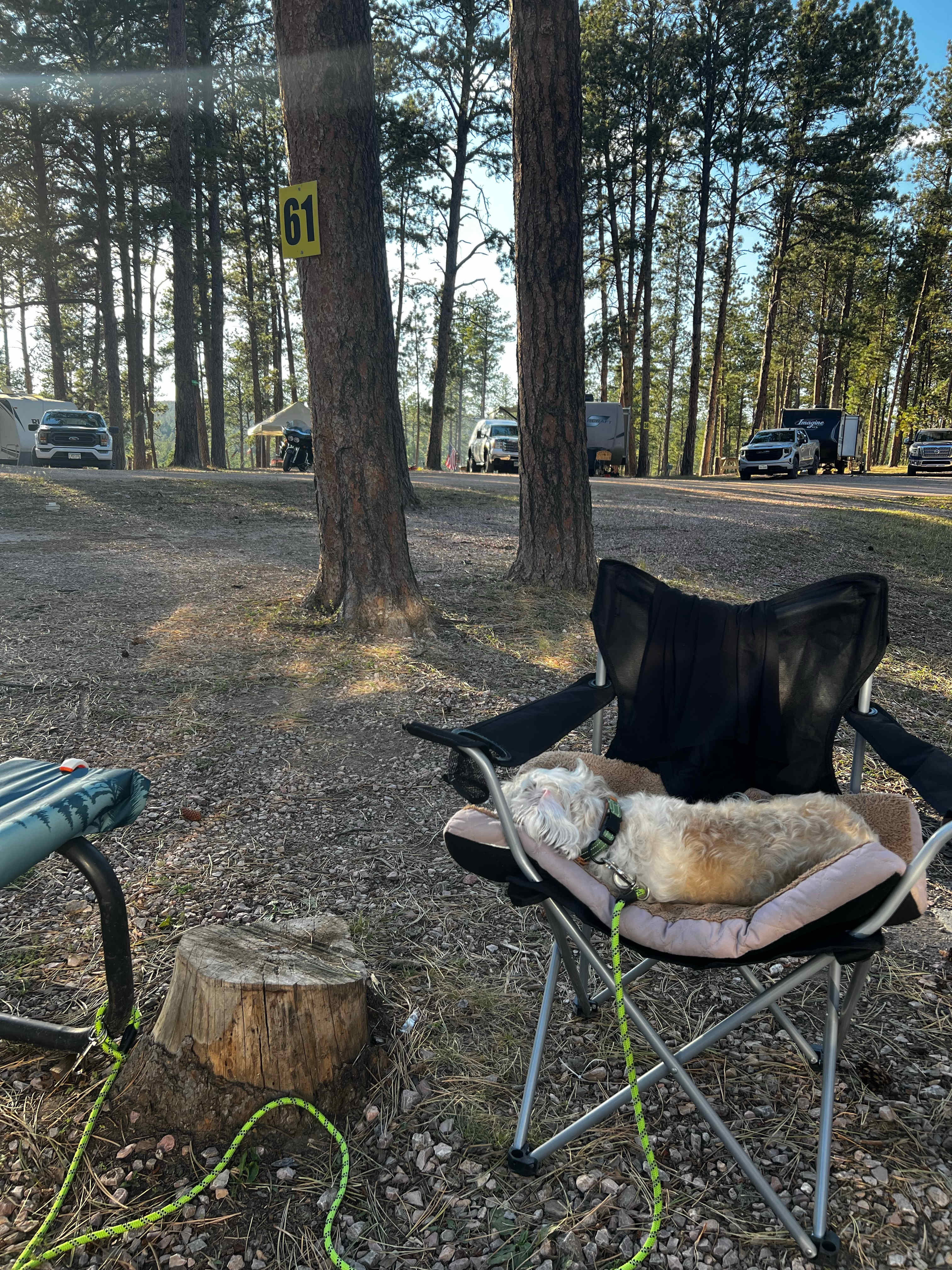 Picture of the site