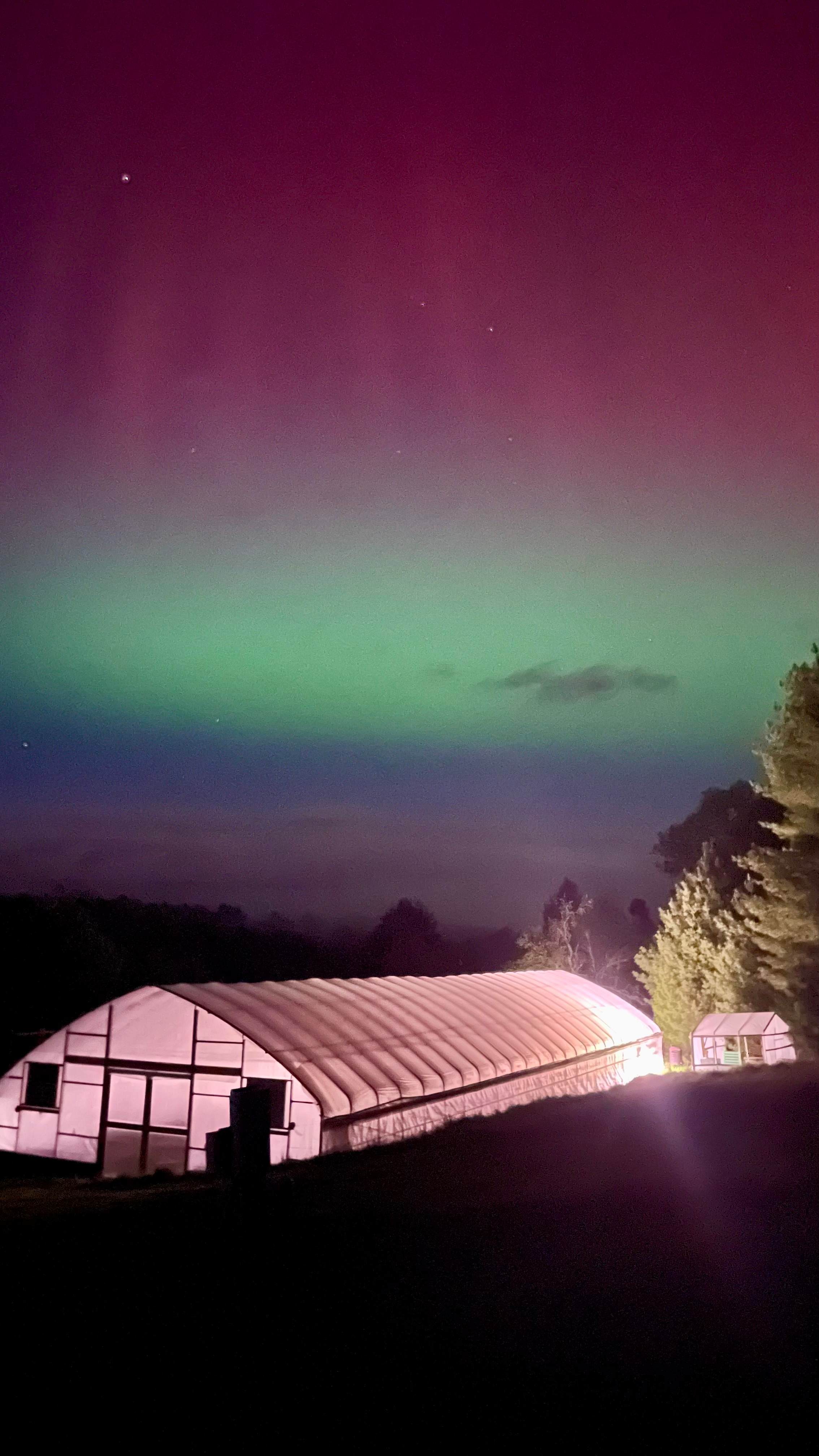 Aurora Borealis over our Greenhouse