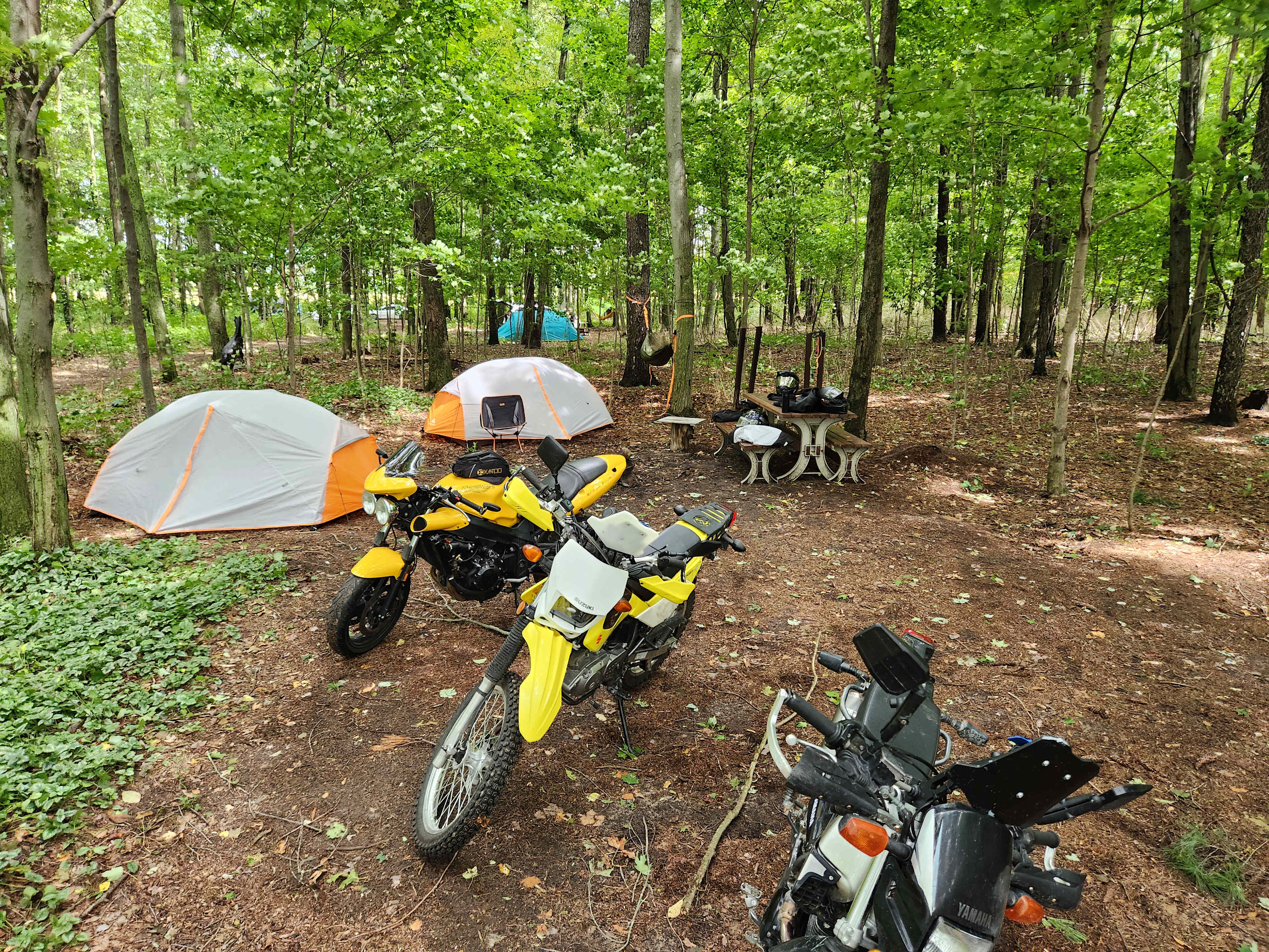 Picture of the site