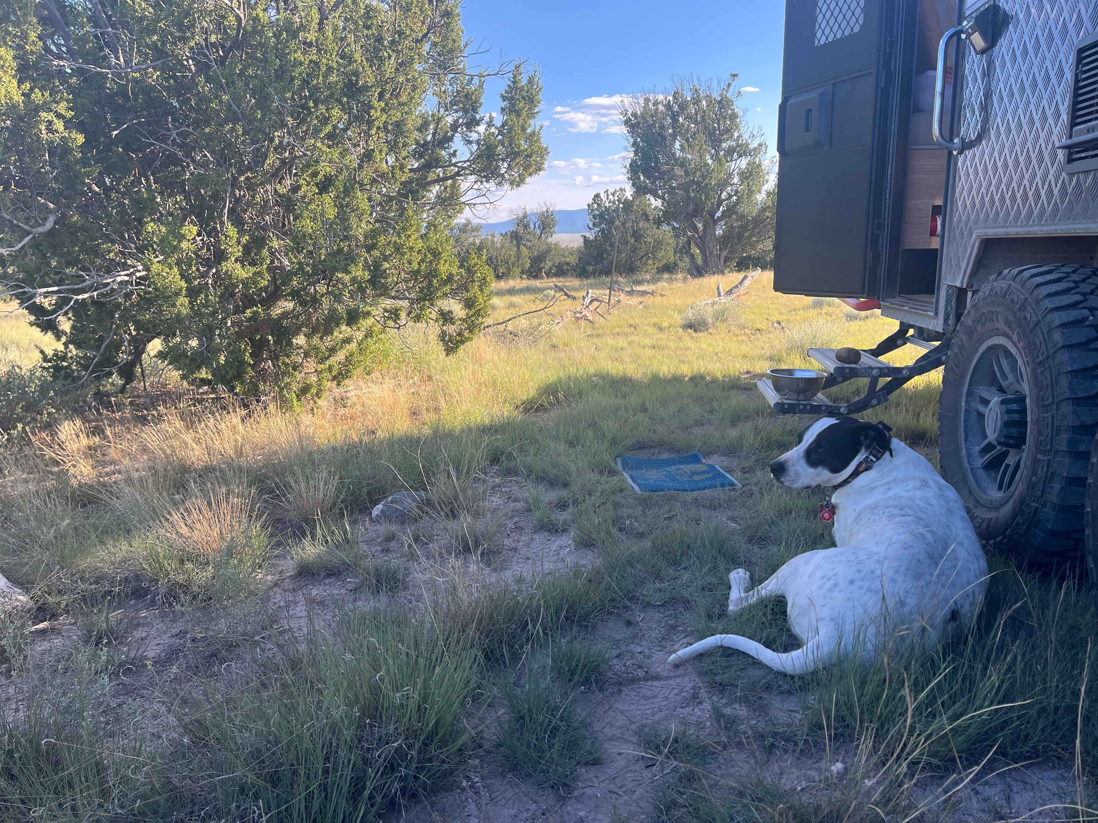 High Desert Magic