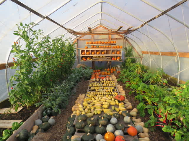 Metta Earth Farm Stay