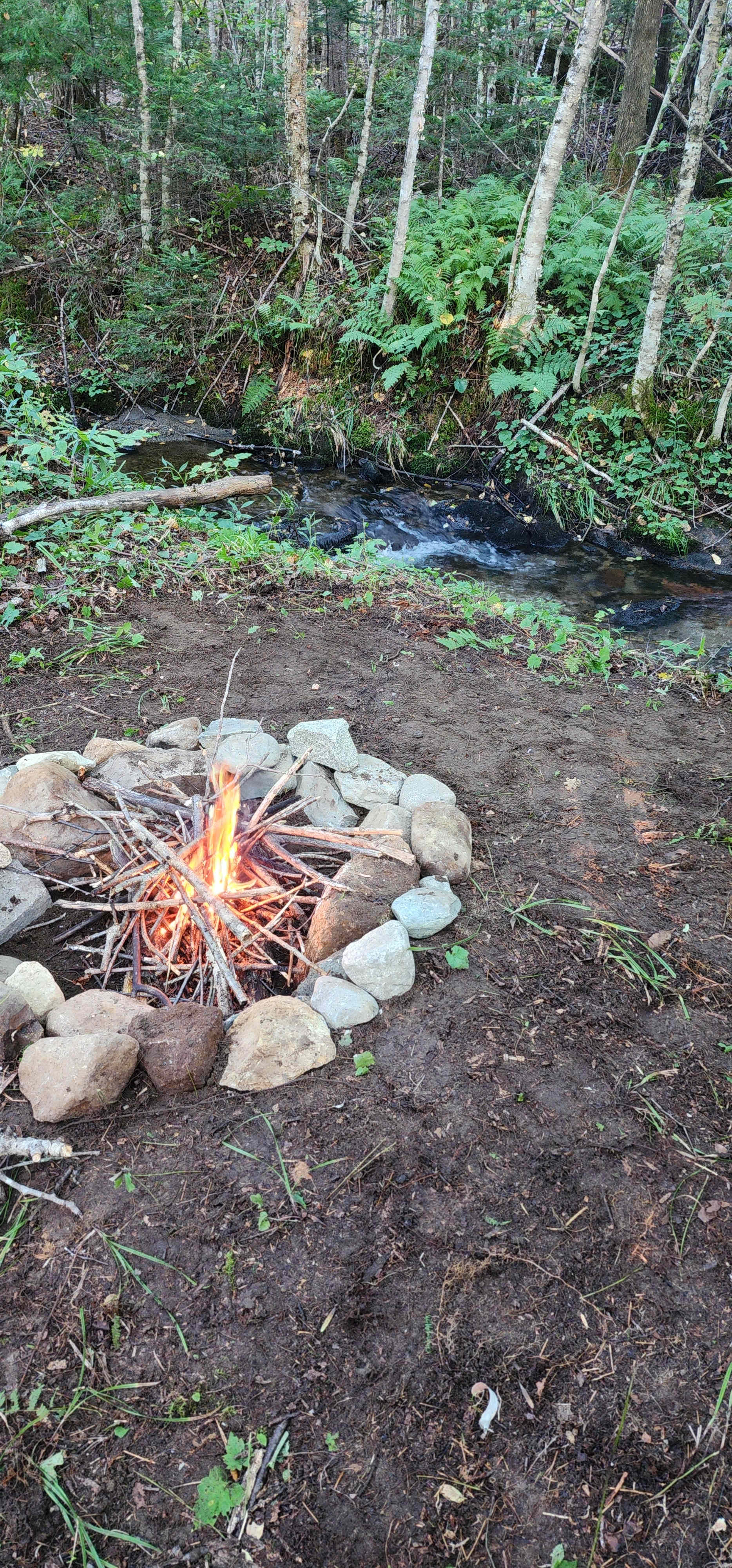 Carter Brook primitive camping