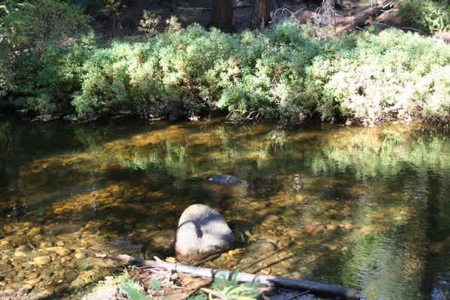 Gumboot Placer Gold Claim