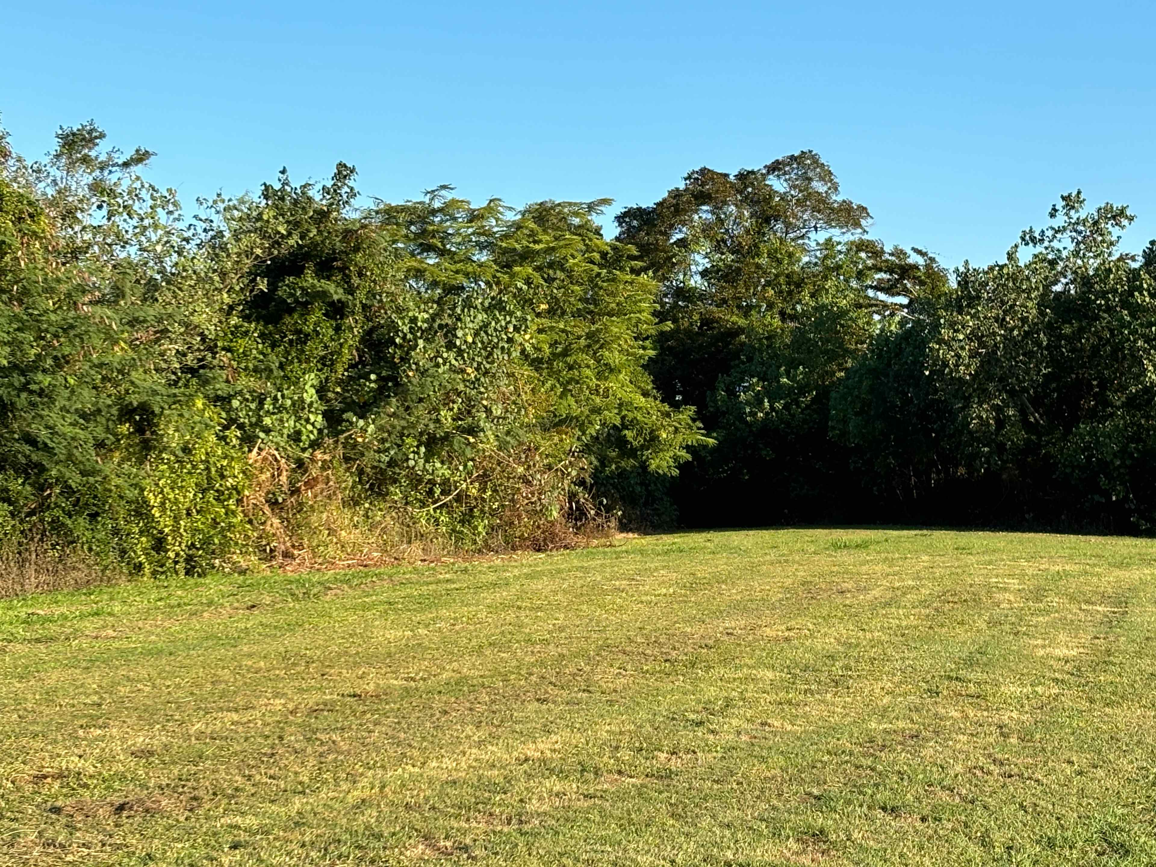 Hinchinbrook View