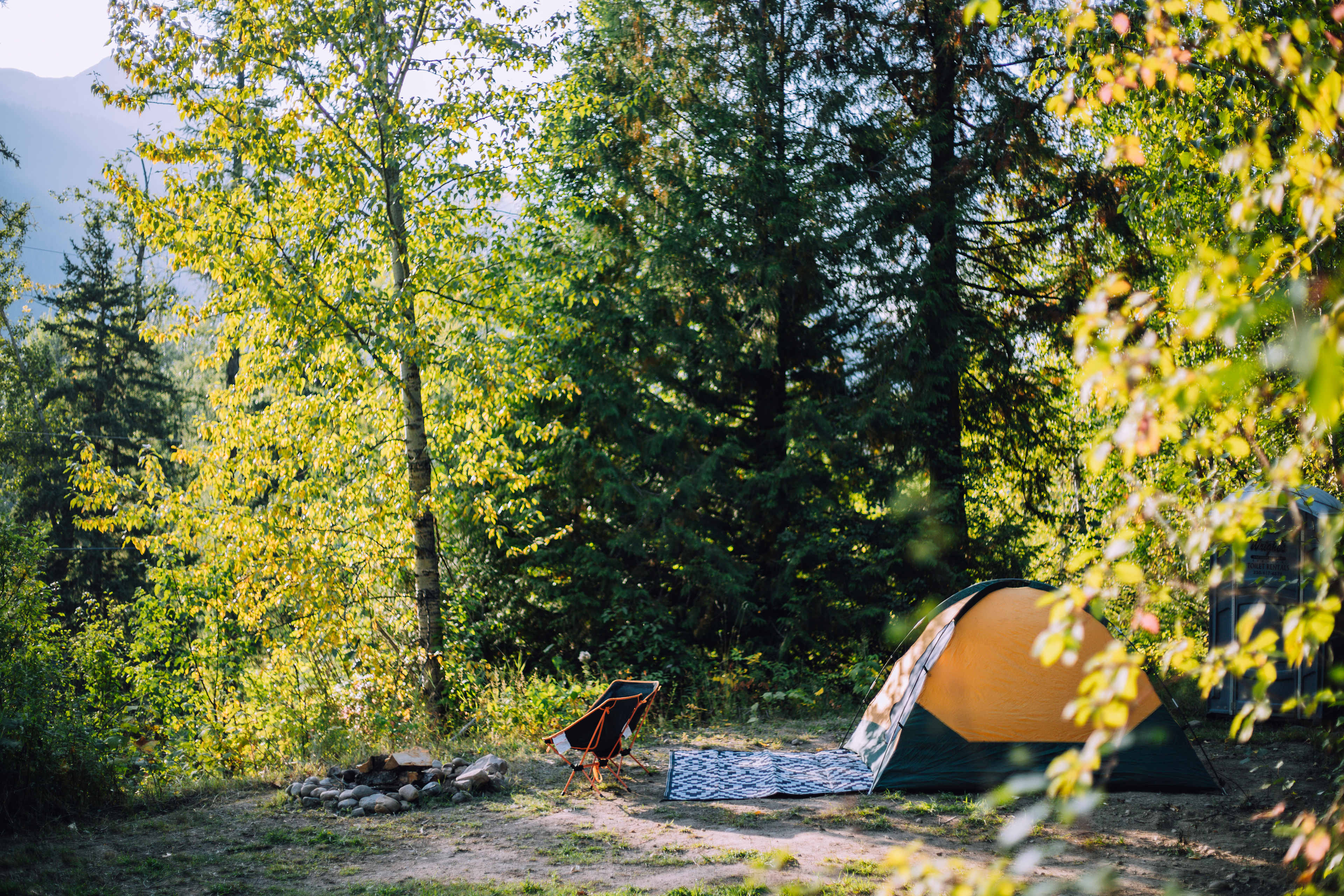 Private campsite in the trees overlooking the Elk Valley.