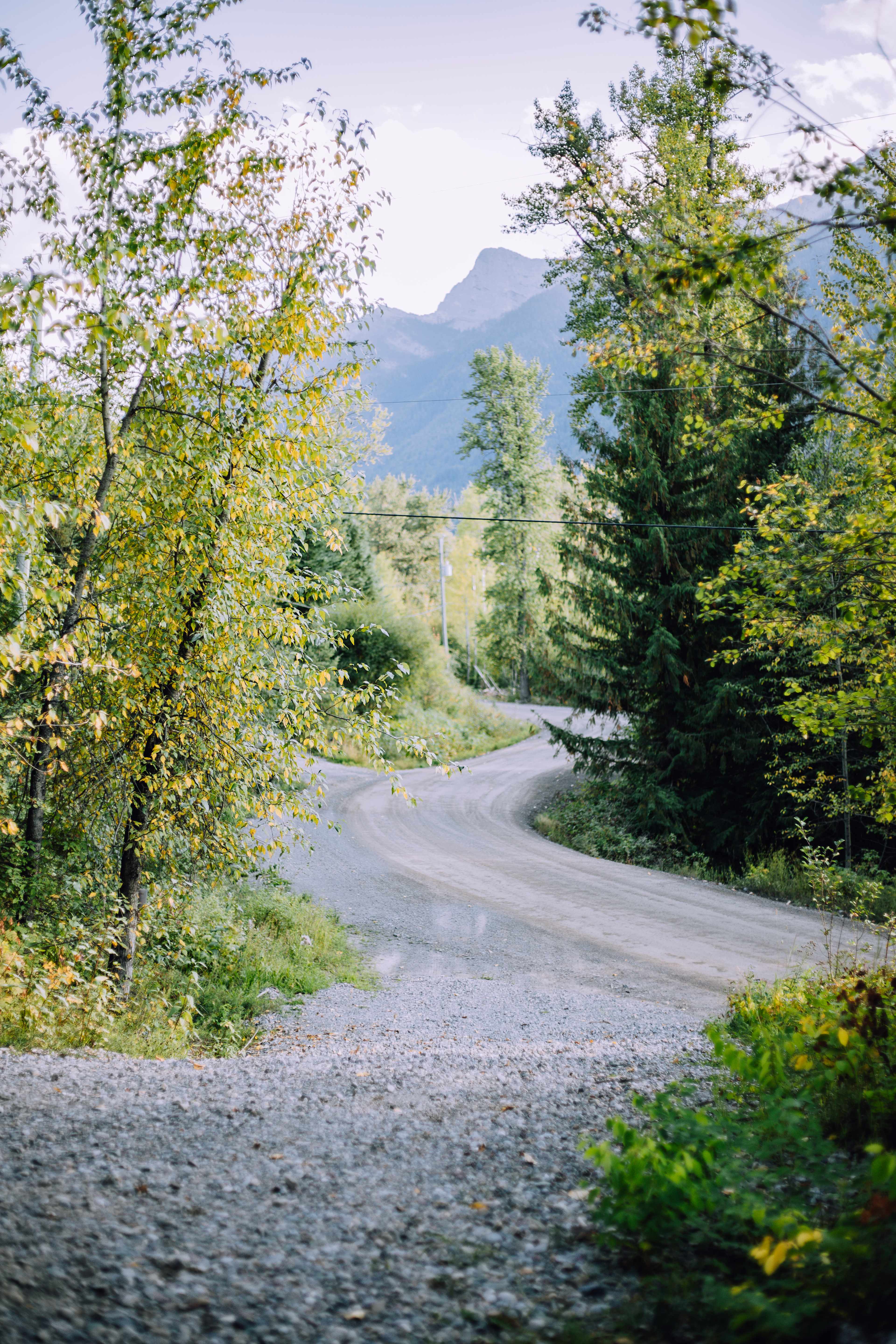 View from the campsite overlooking the trans-Canada bike path.
