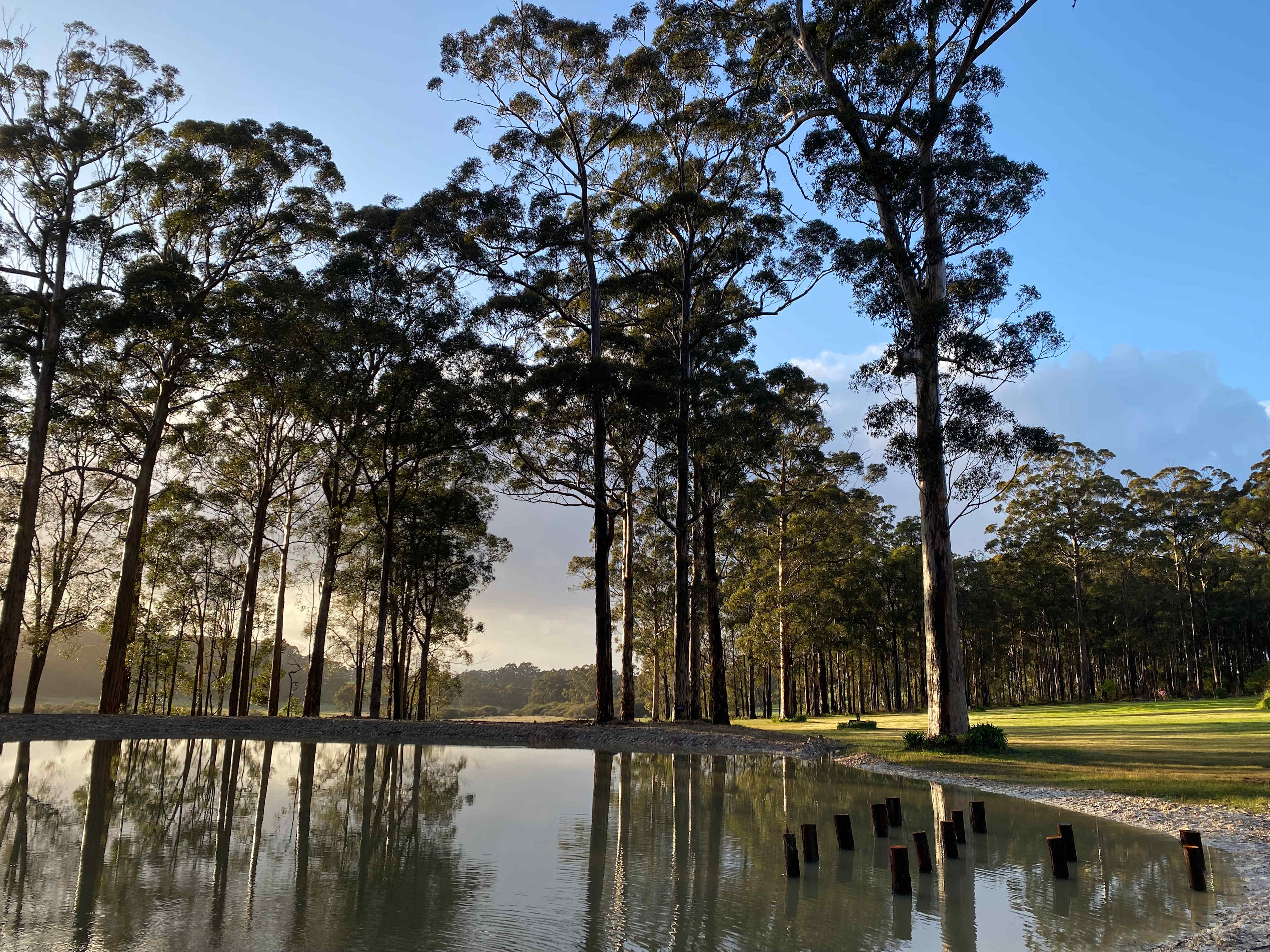 Highway Hideaway - Manjimup