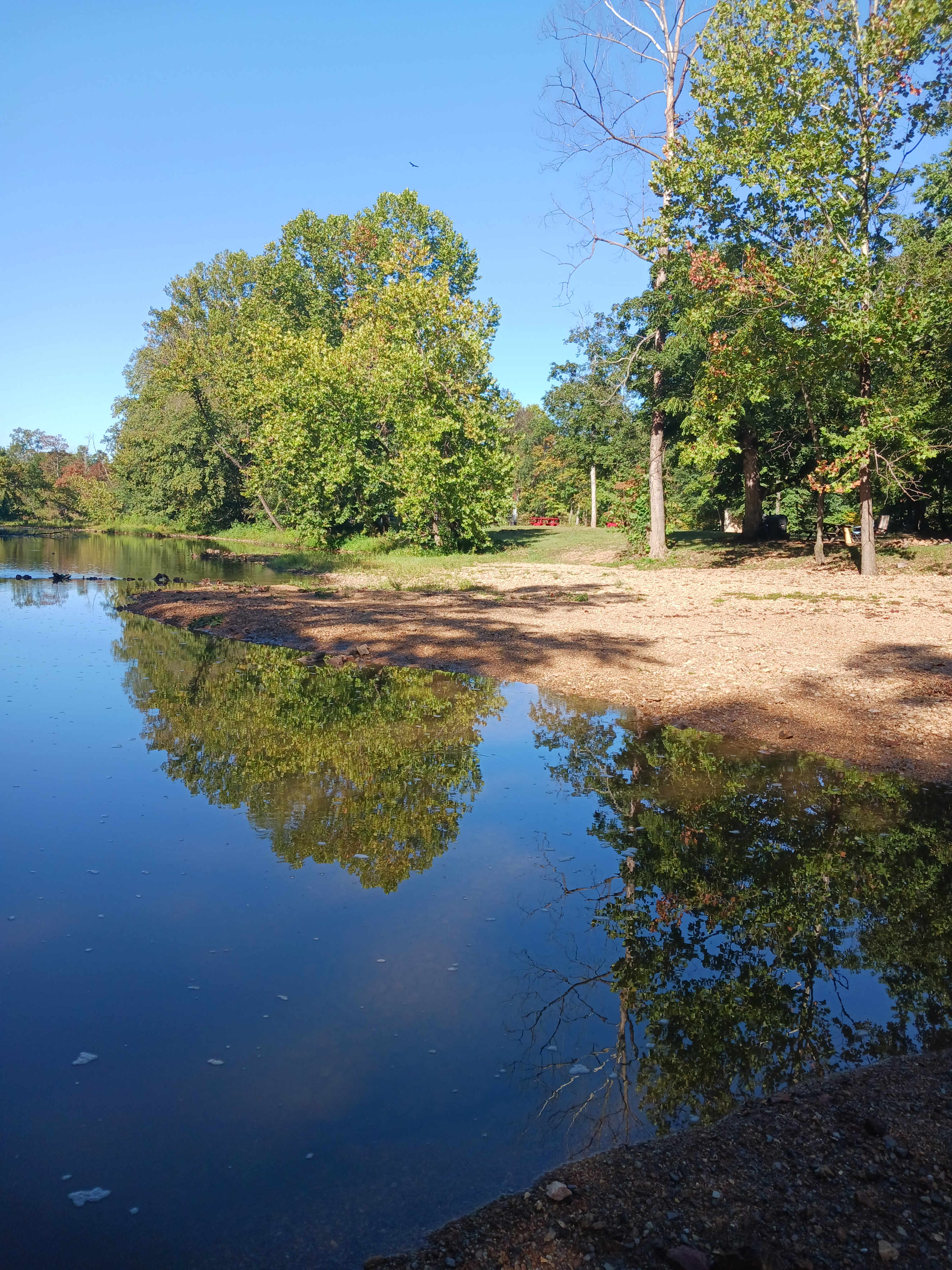 Sycamore Springs Campground