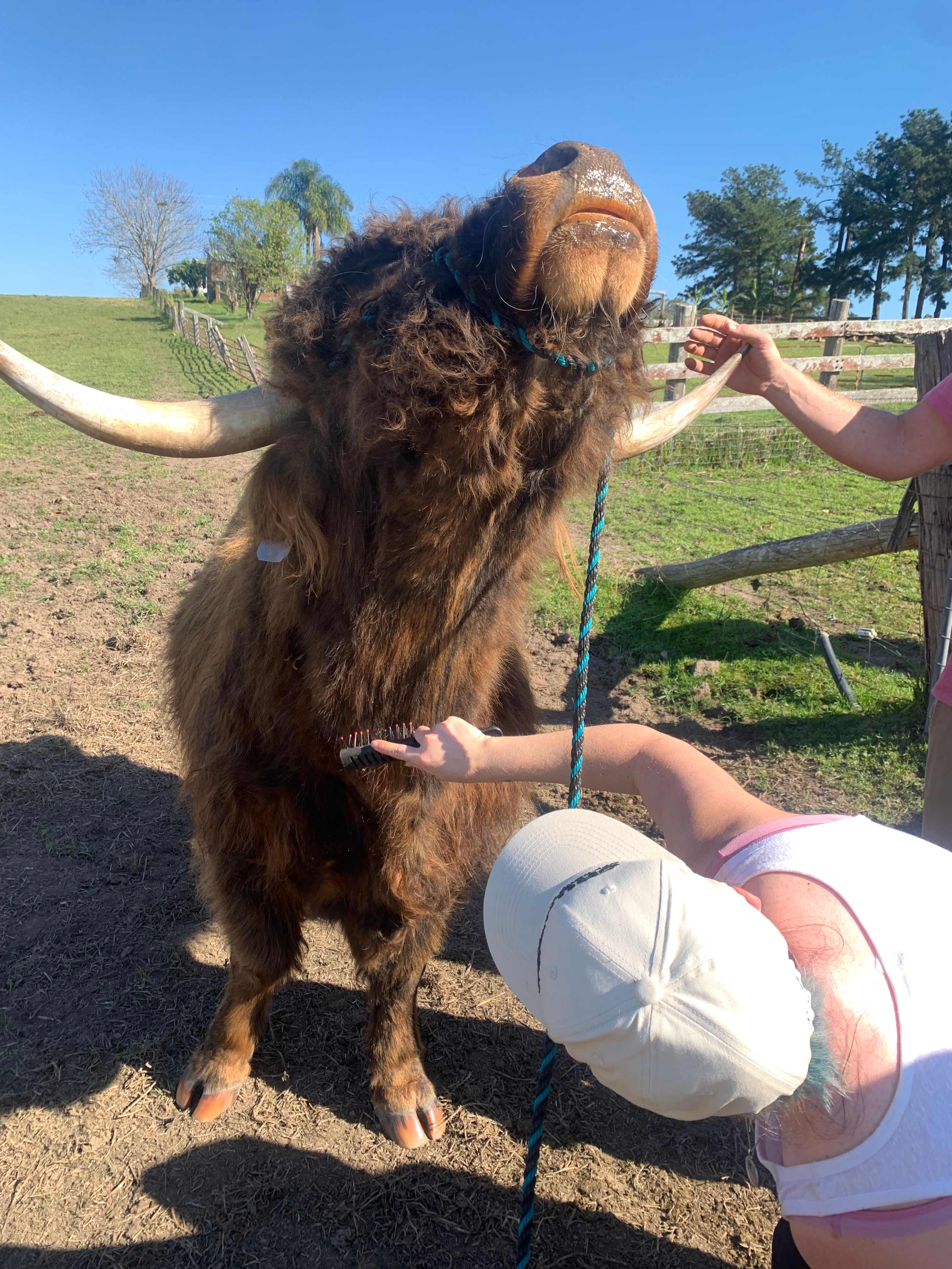Whispering Mountain Farm