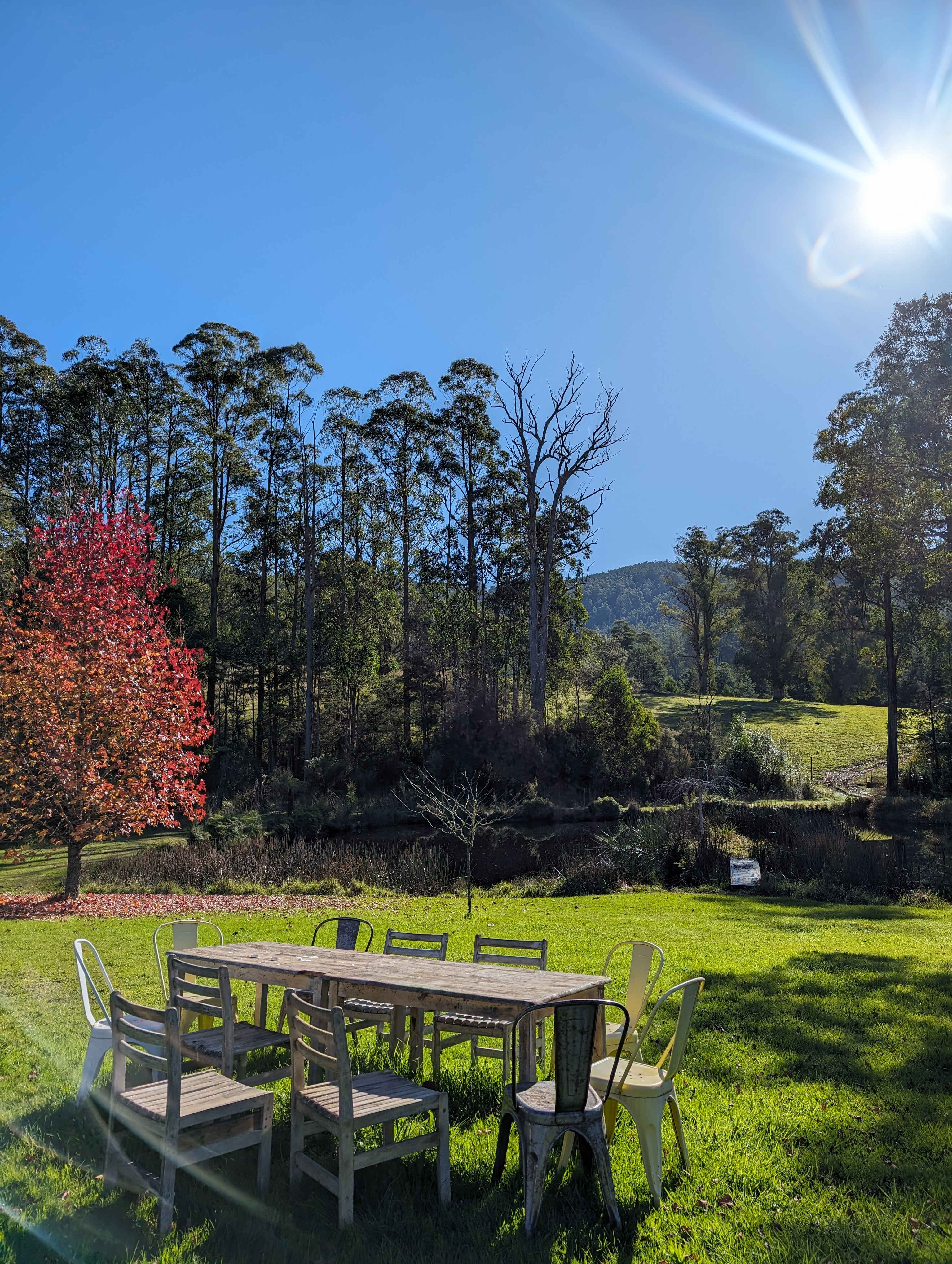 Organic Farm & Riverside Camping