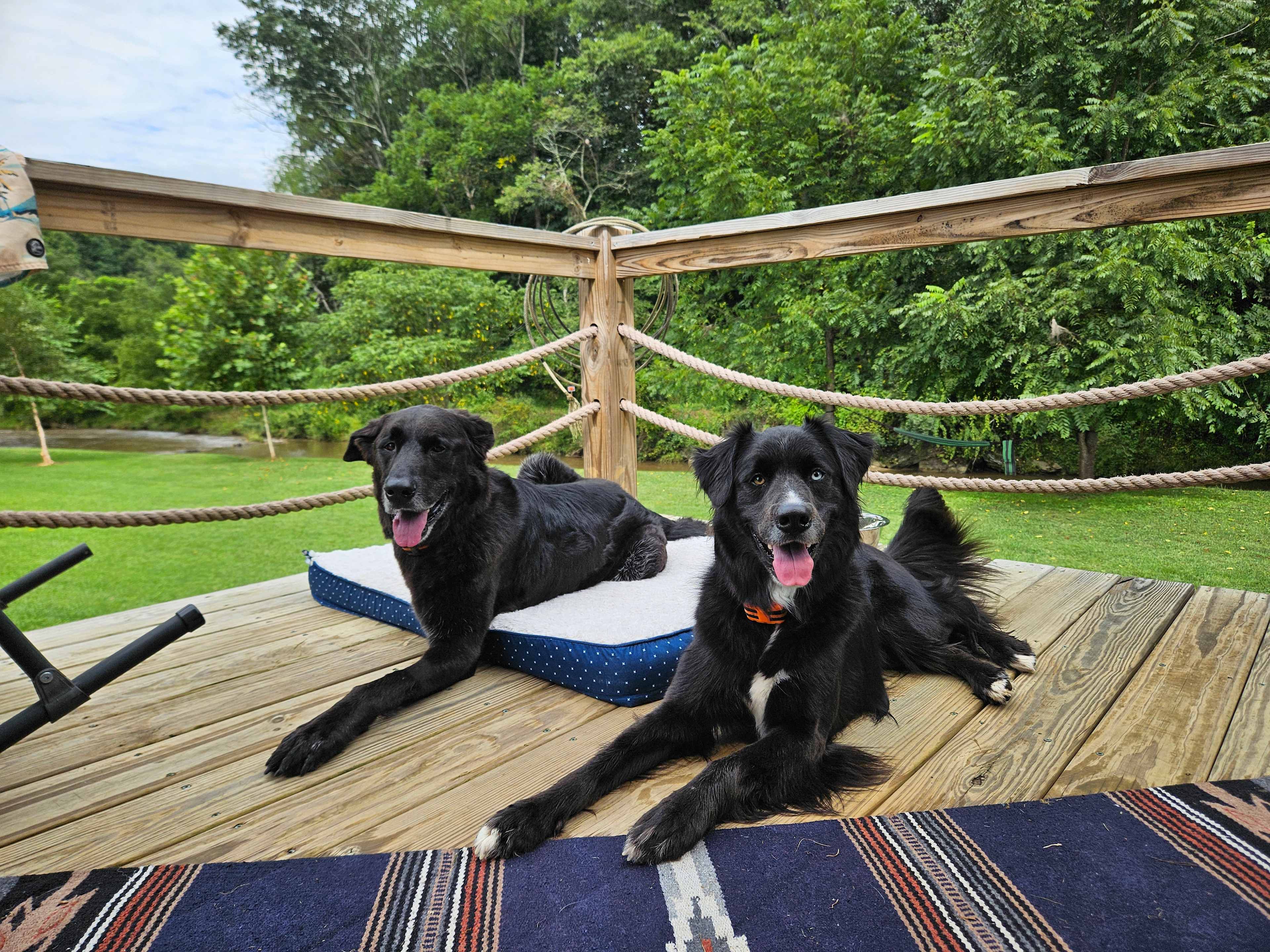 Magical Riverside Yurt w/hot tub