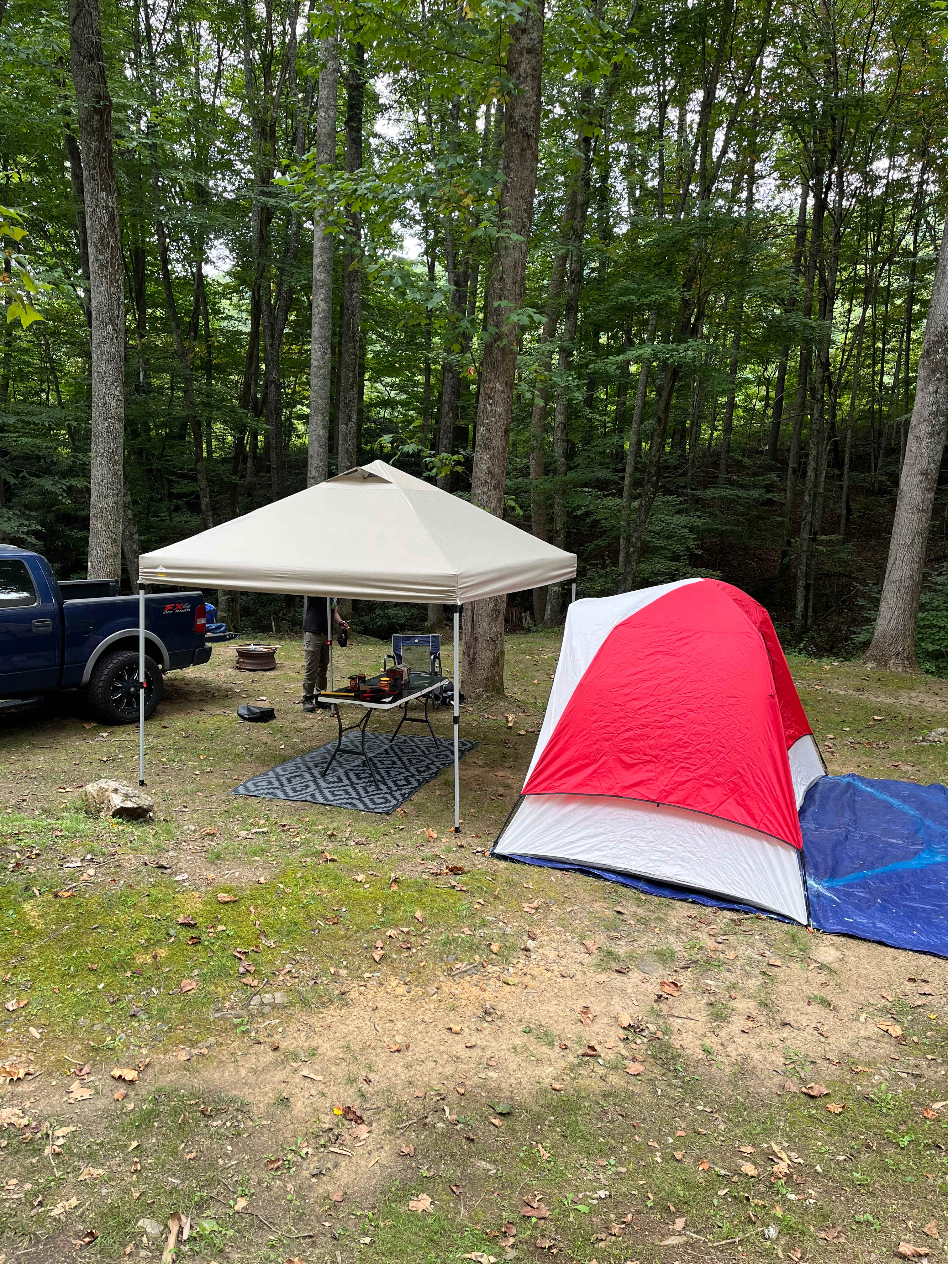 Picture of the site