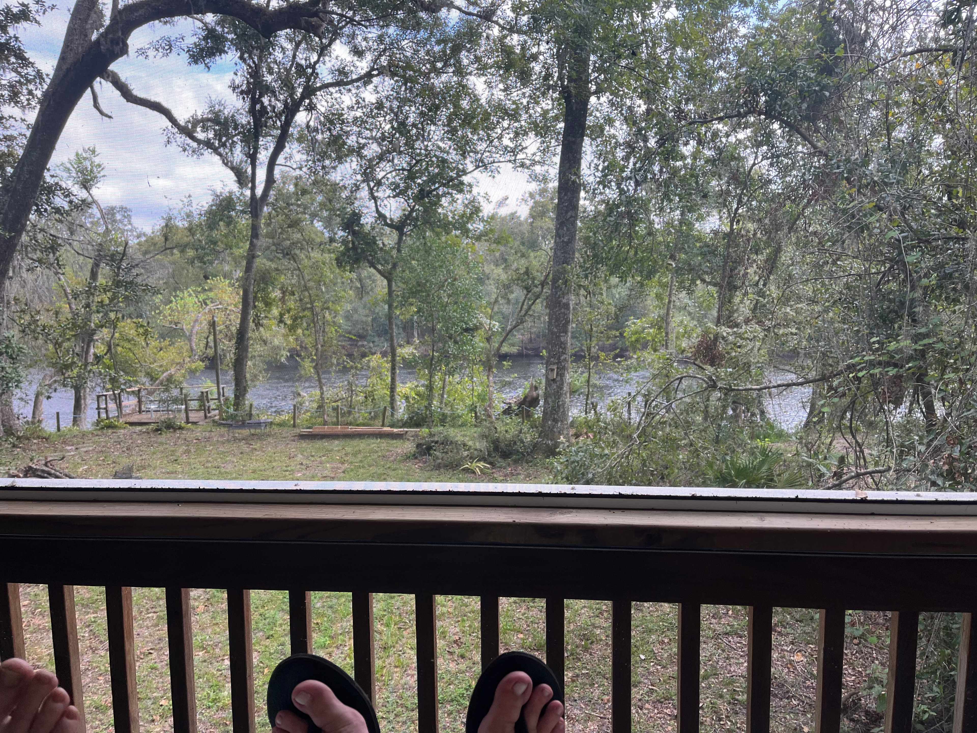Epic view from the hanging bed