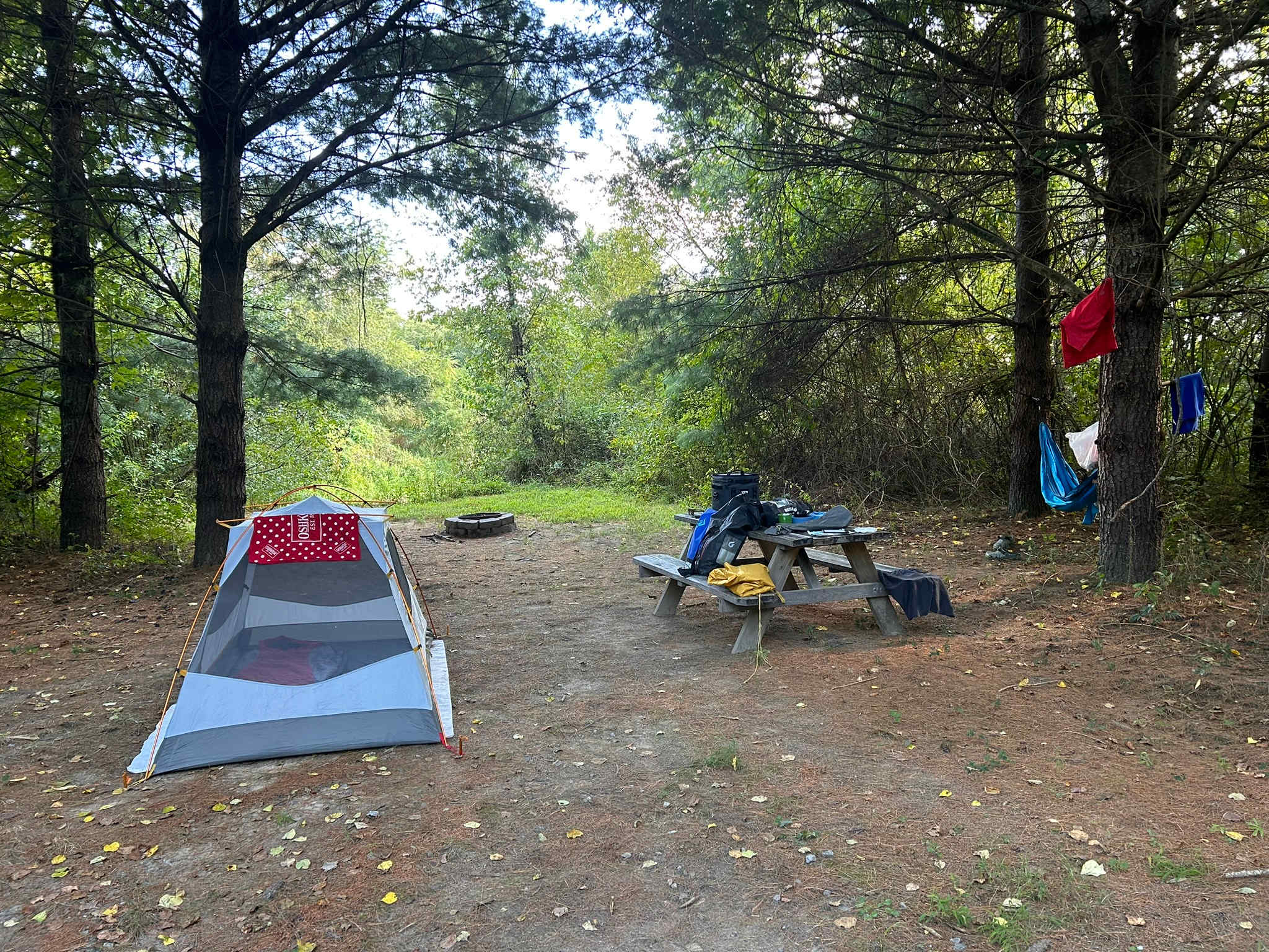 Picture of the site
