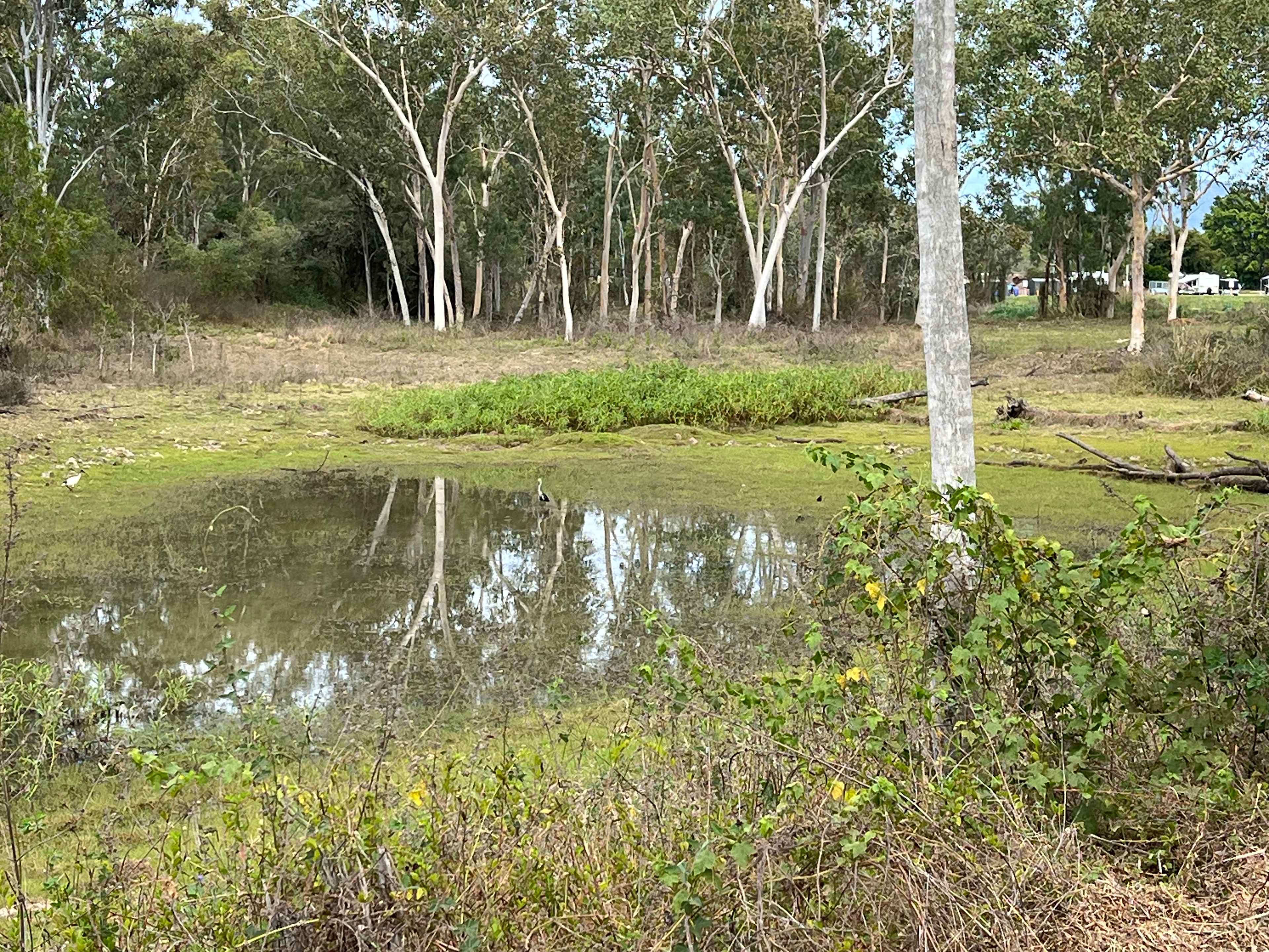 Black River Outback Ranch