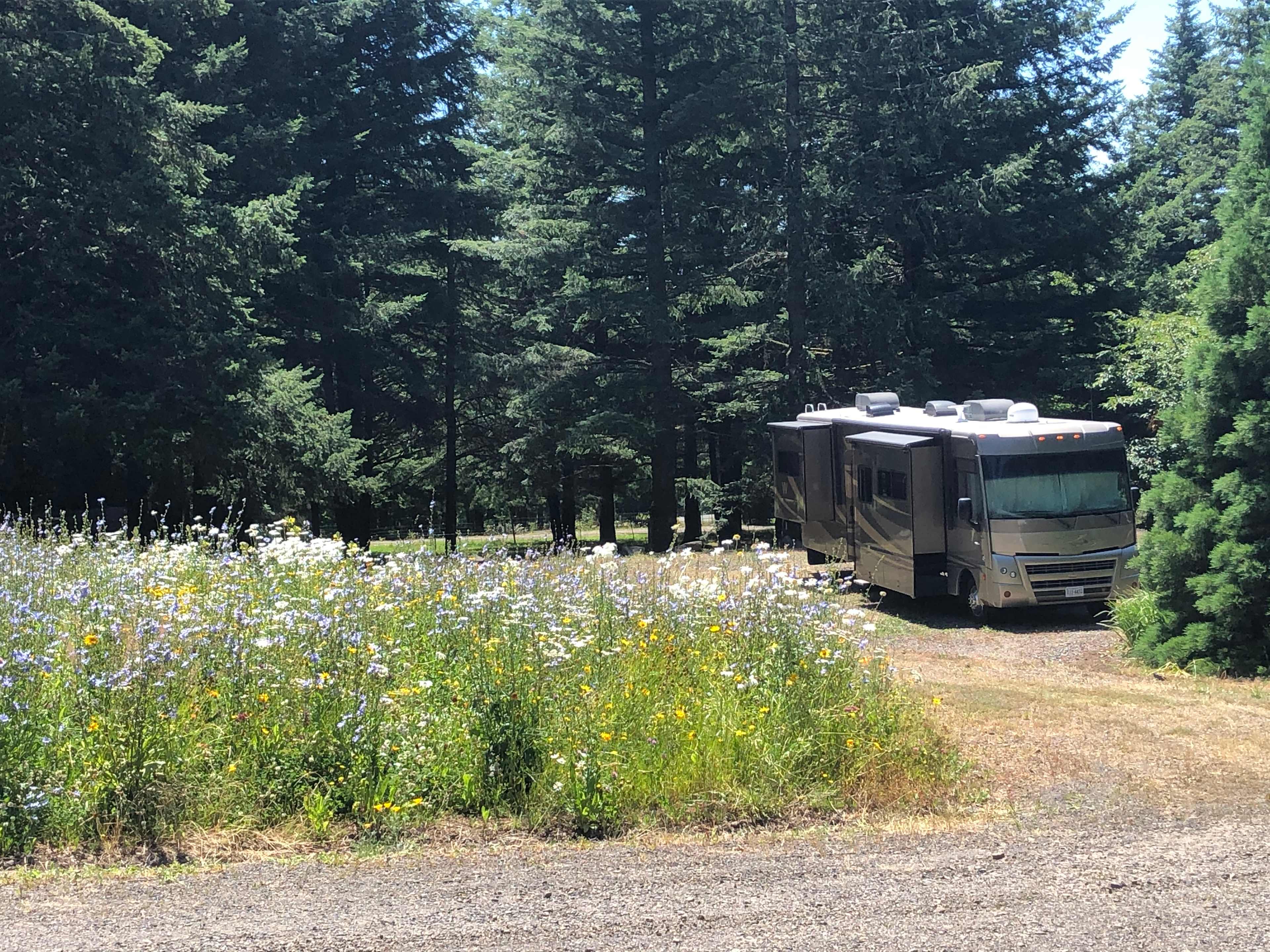 The Hummingbird Homestead