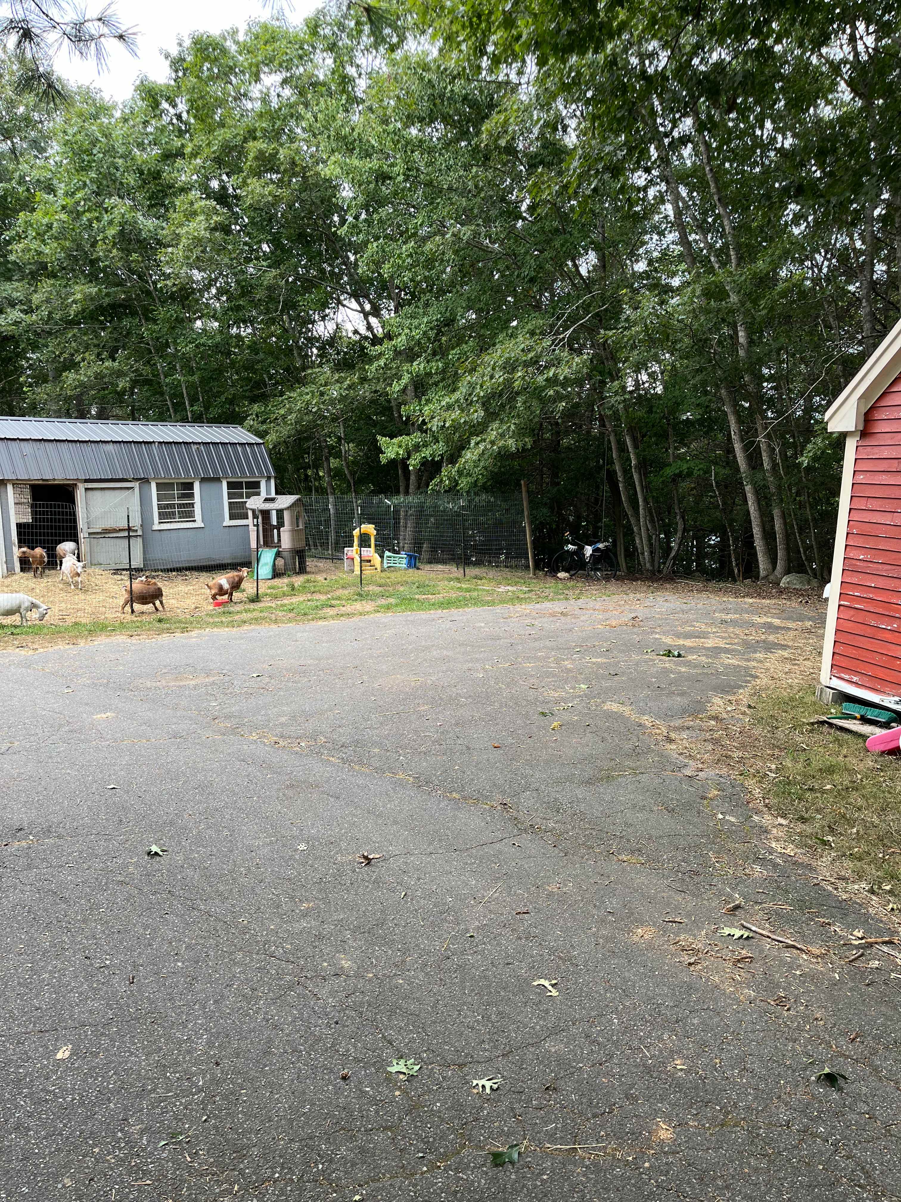 Rainbow Koala Farm LLC