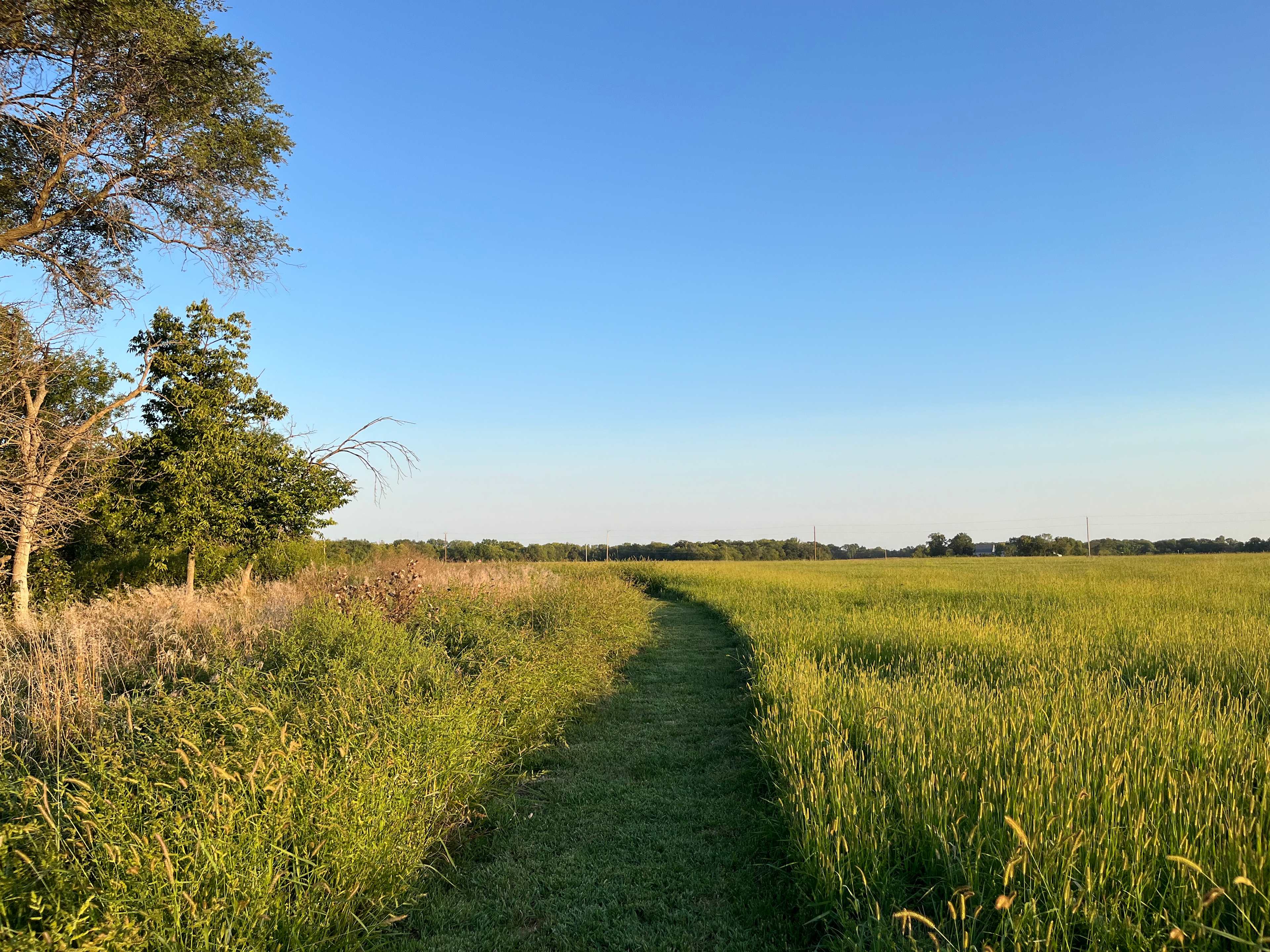 Take a walk around the pond at sunset for the best views. 