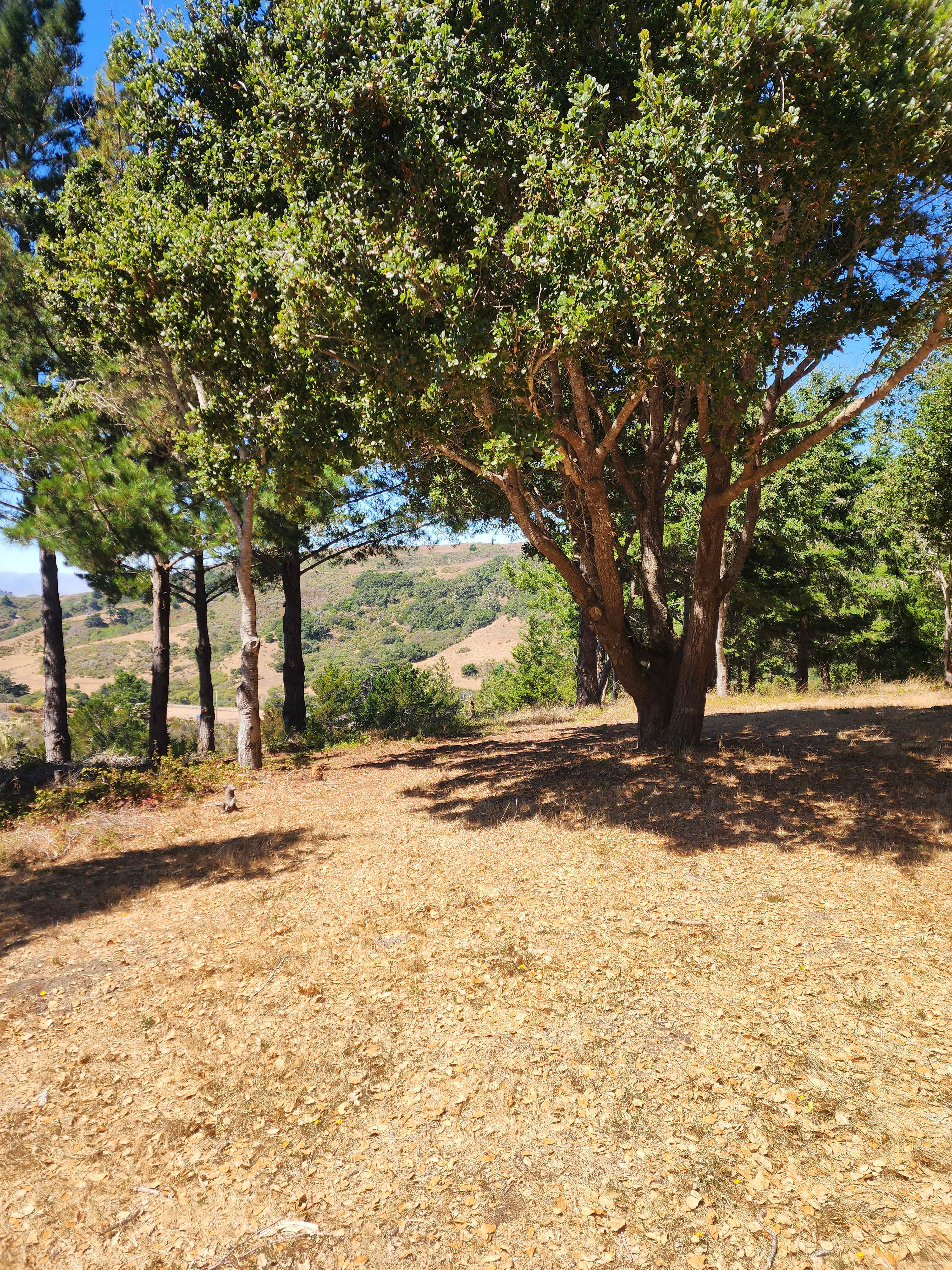 Bear Gulch Hide Out