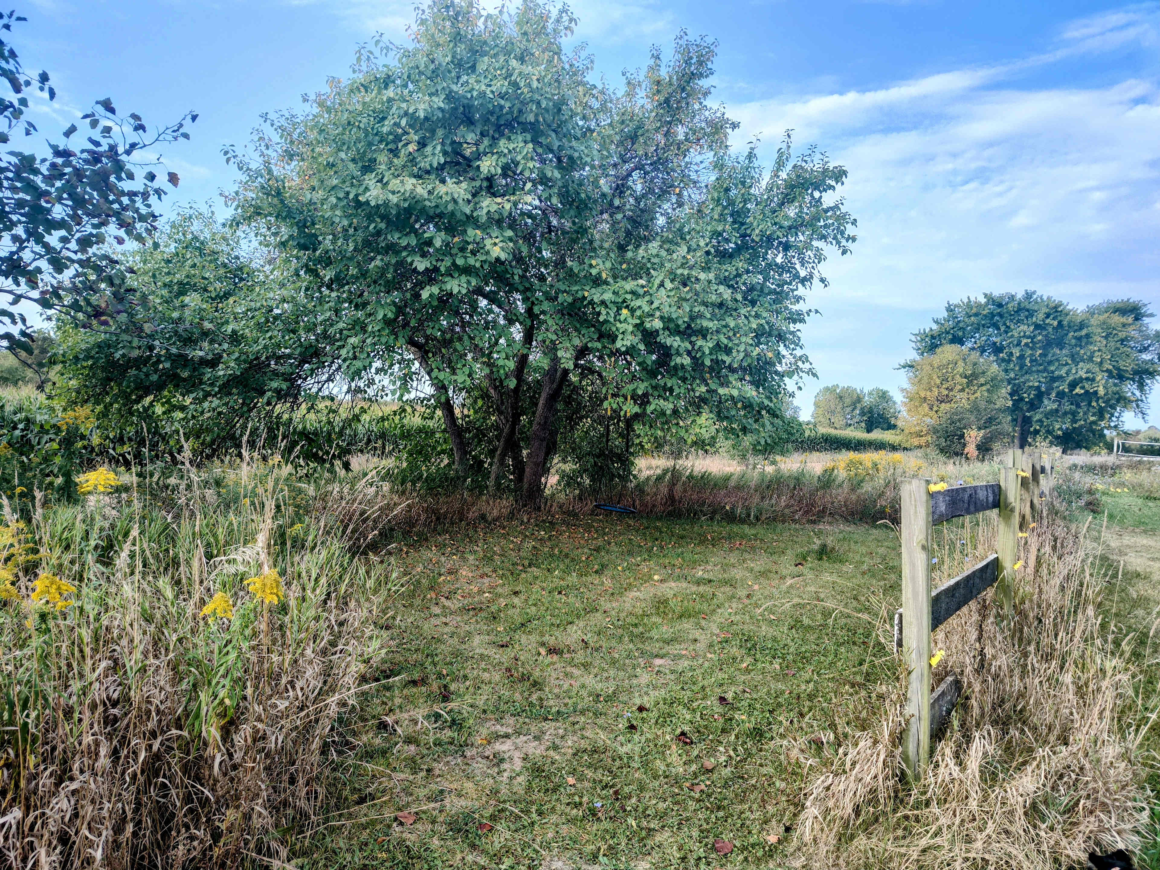 Healing Meadow Trails Wooded Acres