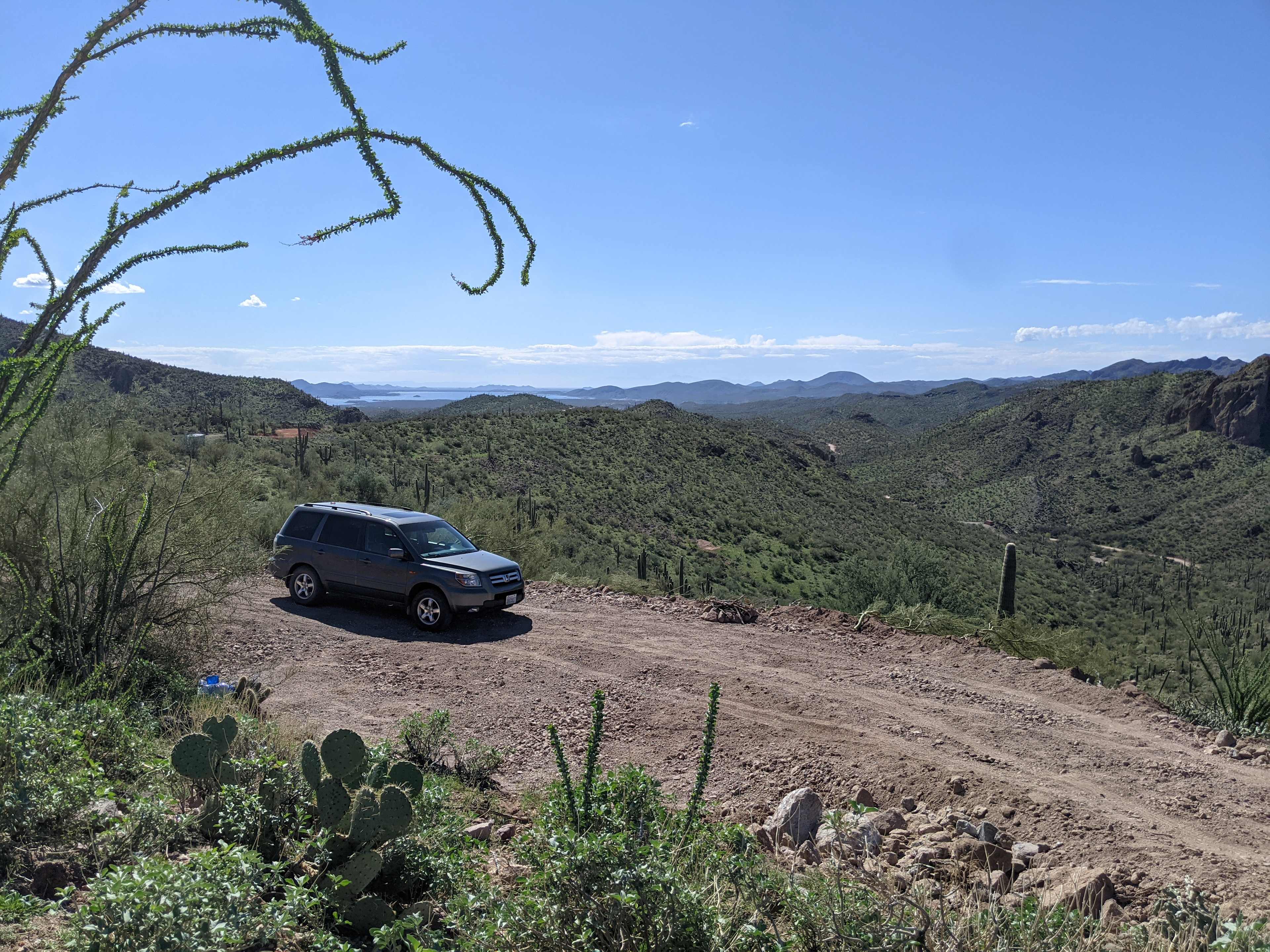 Picture of the site