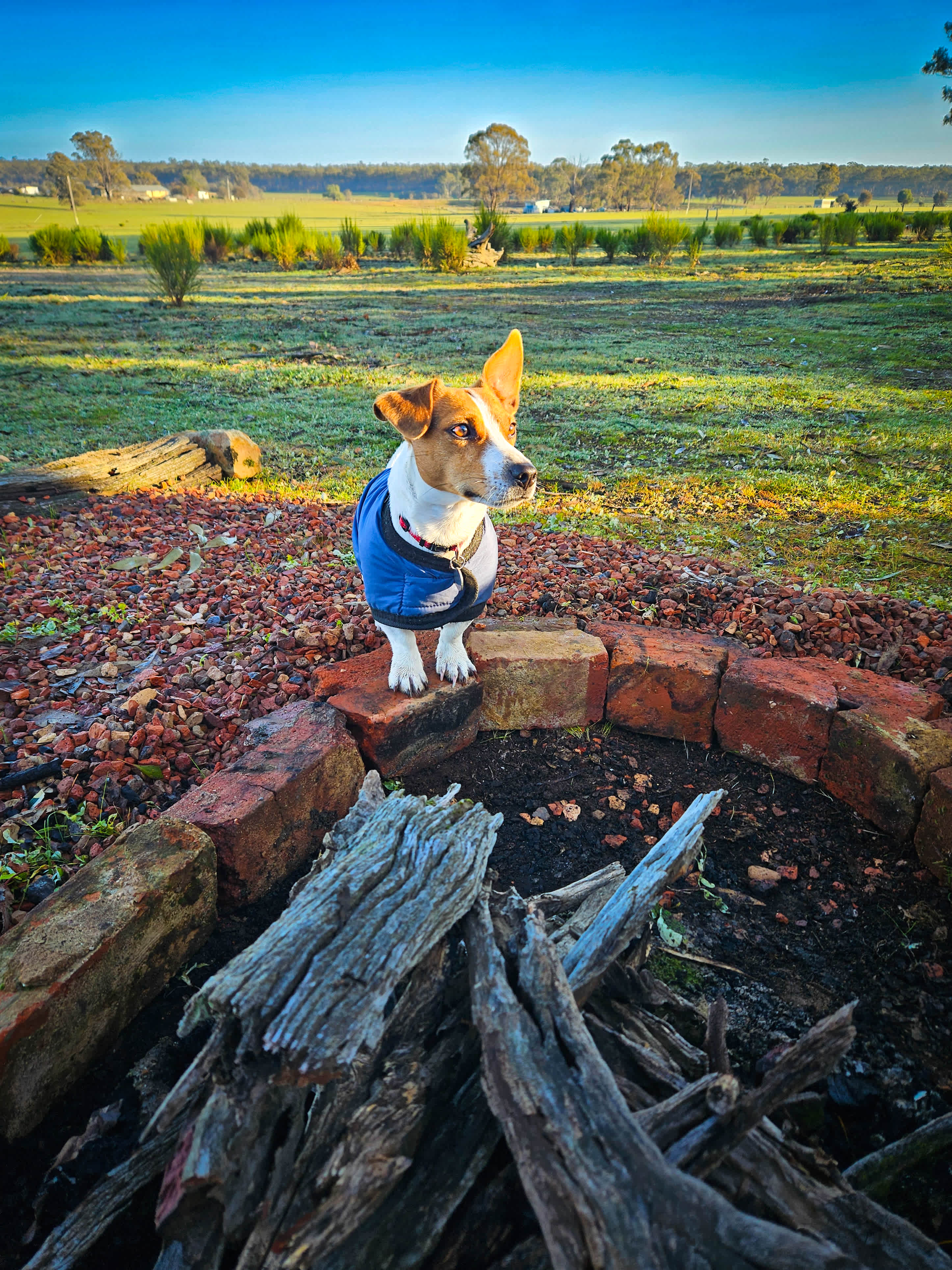 Somerville Park   (Bendigo)