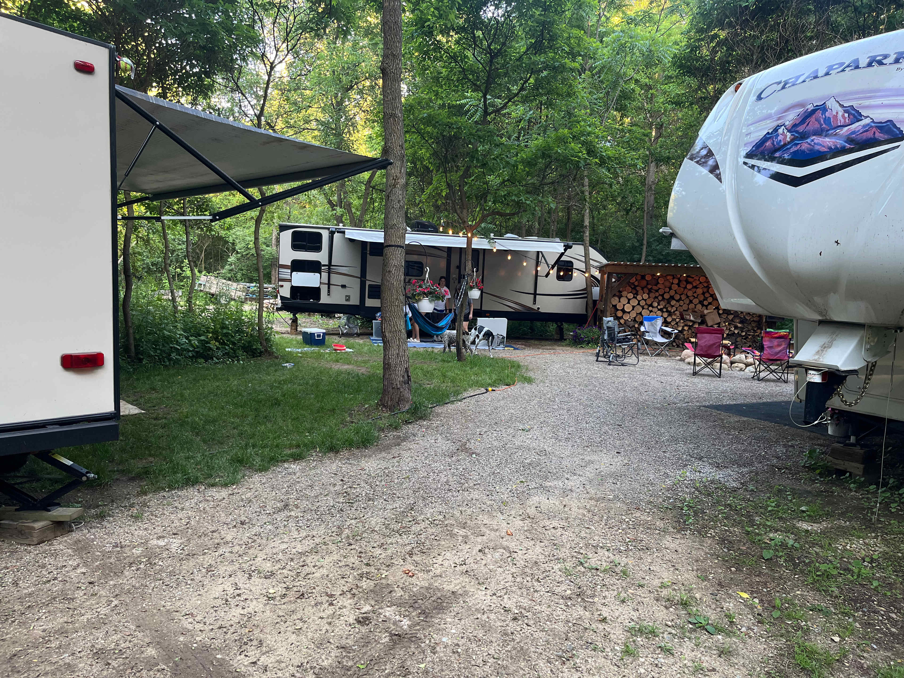 Picture of the site