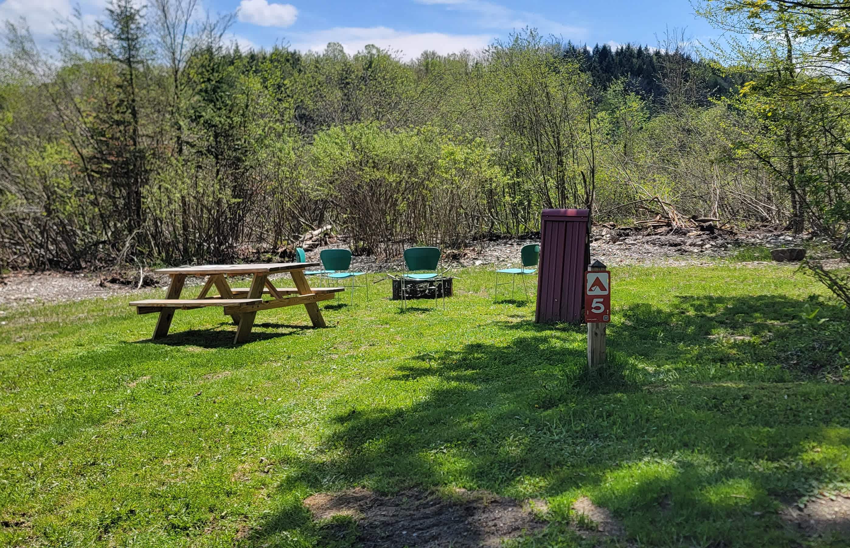Meadow Site 5