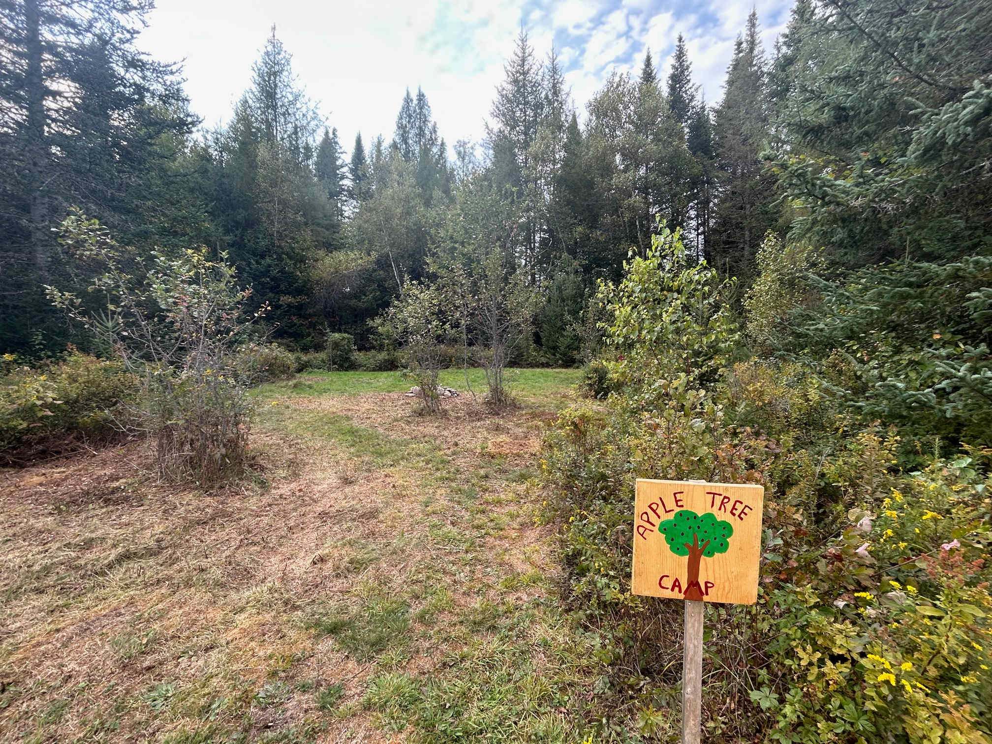 Wandering Pines Camping