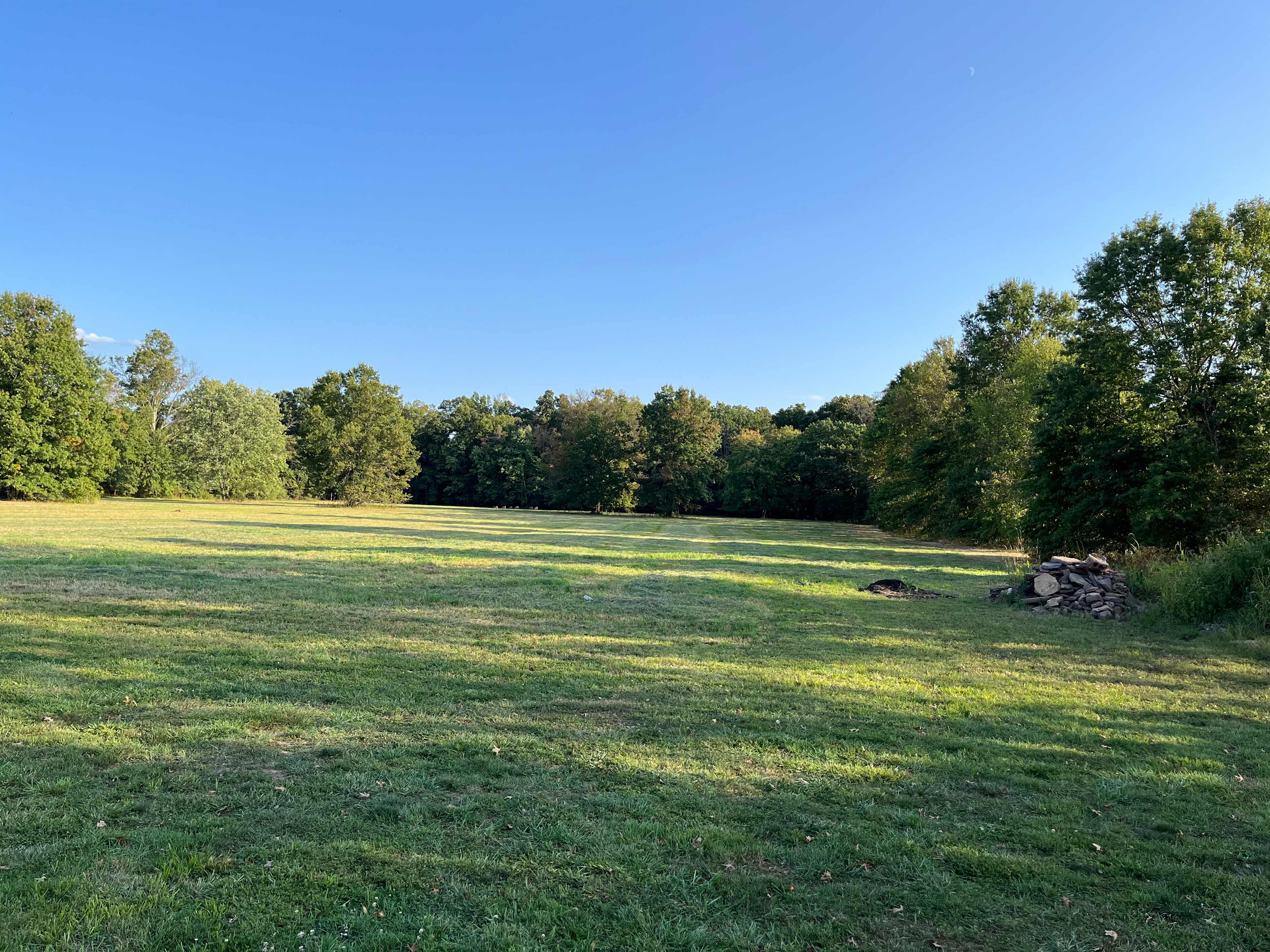 There’s deer out there….zoom in.
