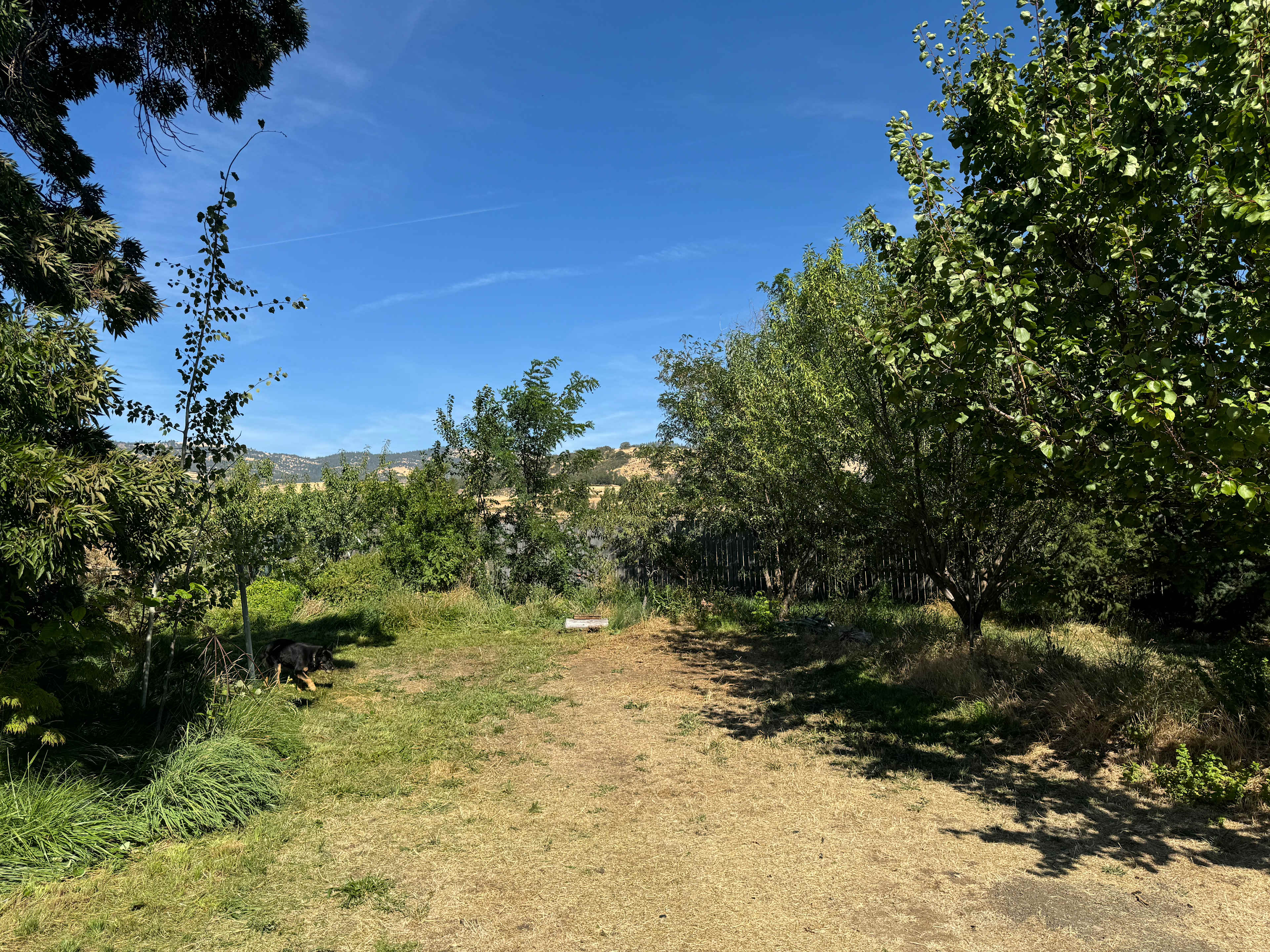 Mindful Earth Farm