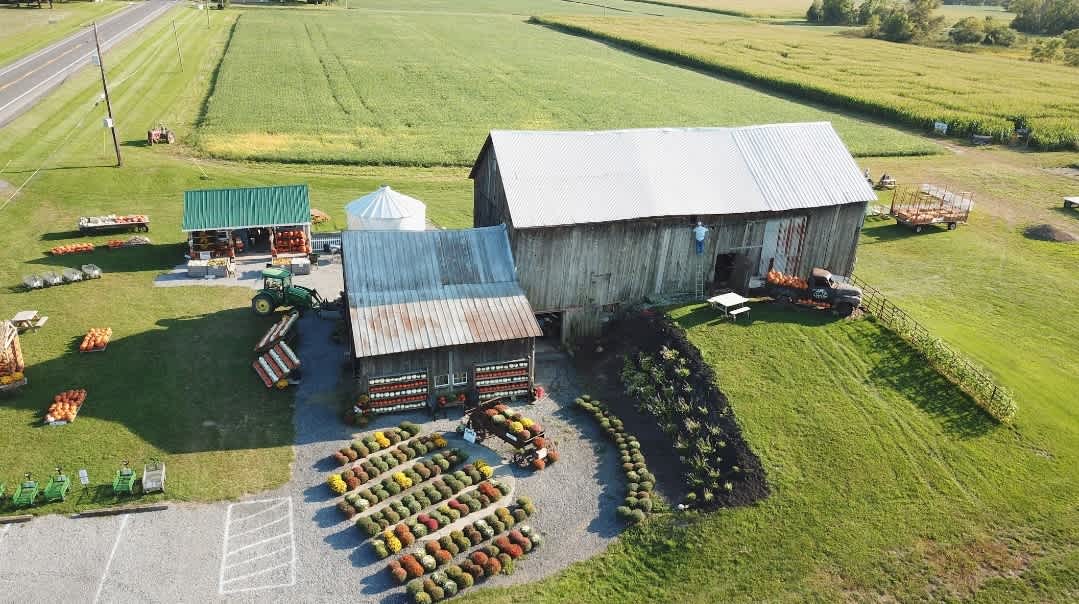 The Pumpkin Stand @ Mount View Farm