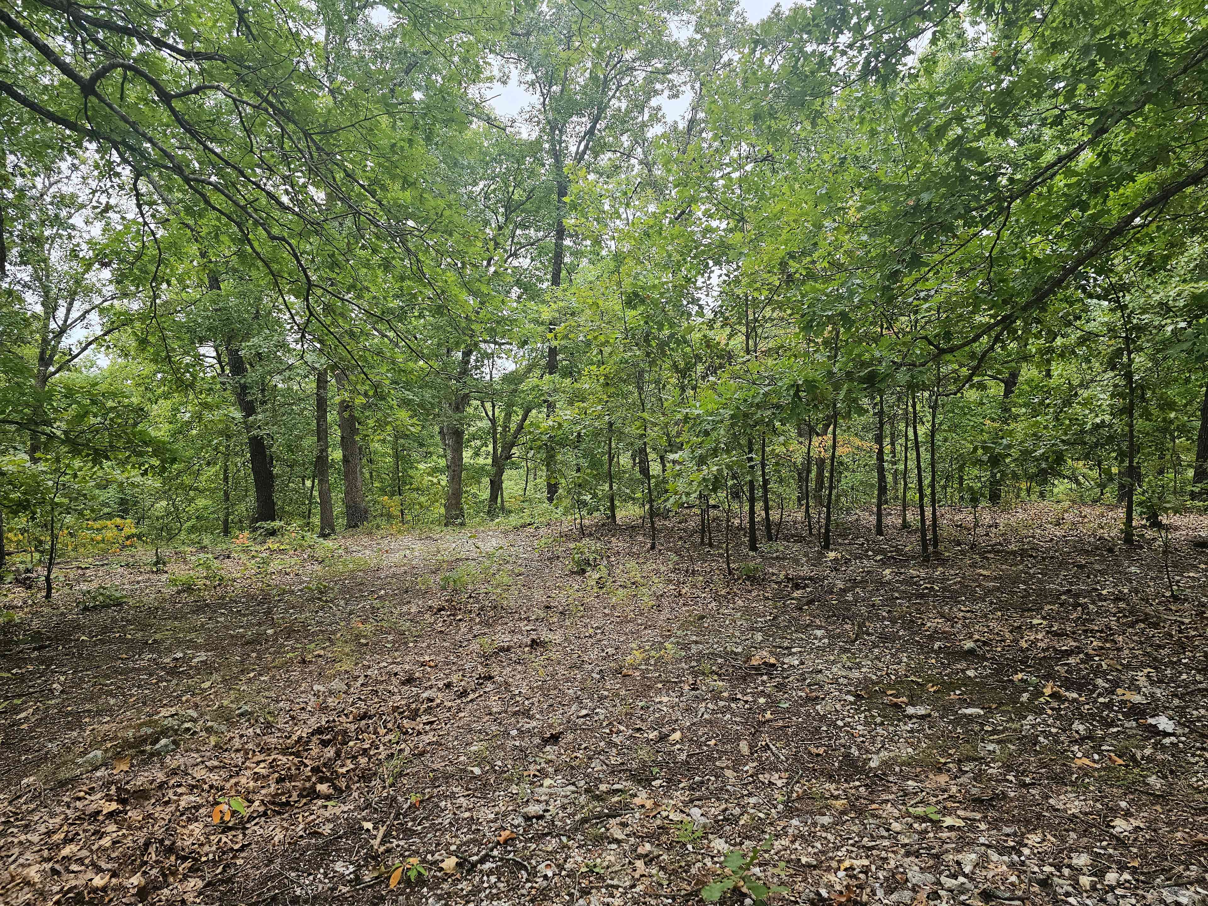 Lake Ozark Wooded Retreat