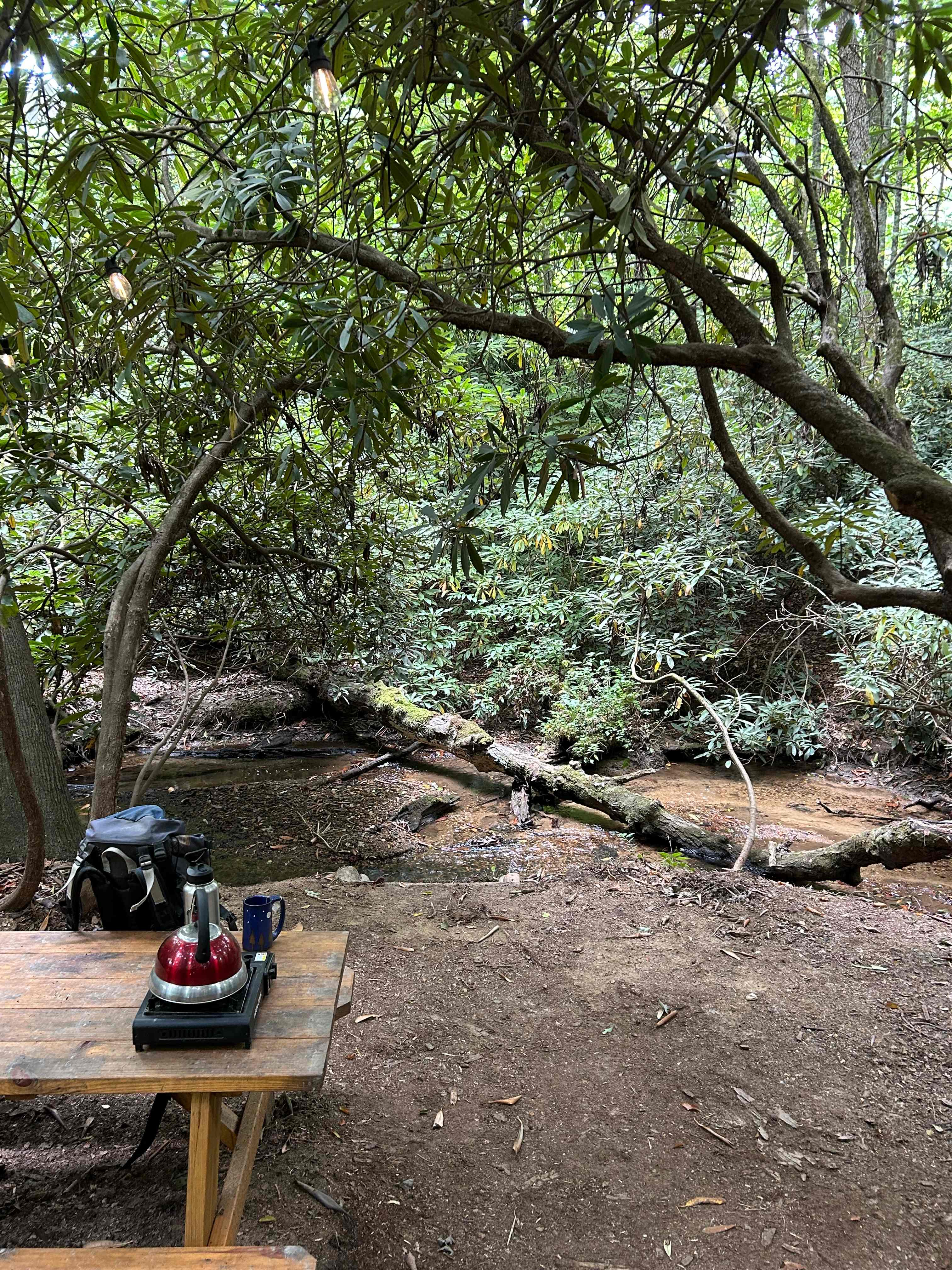 This creeks runs the full length of 11 Acres you are free to explore. Check out our loop trail on your trip to the bathroom. 