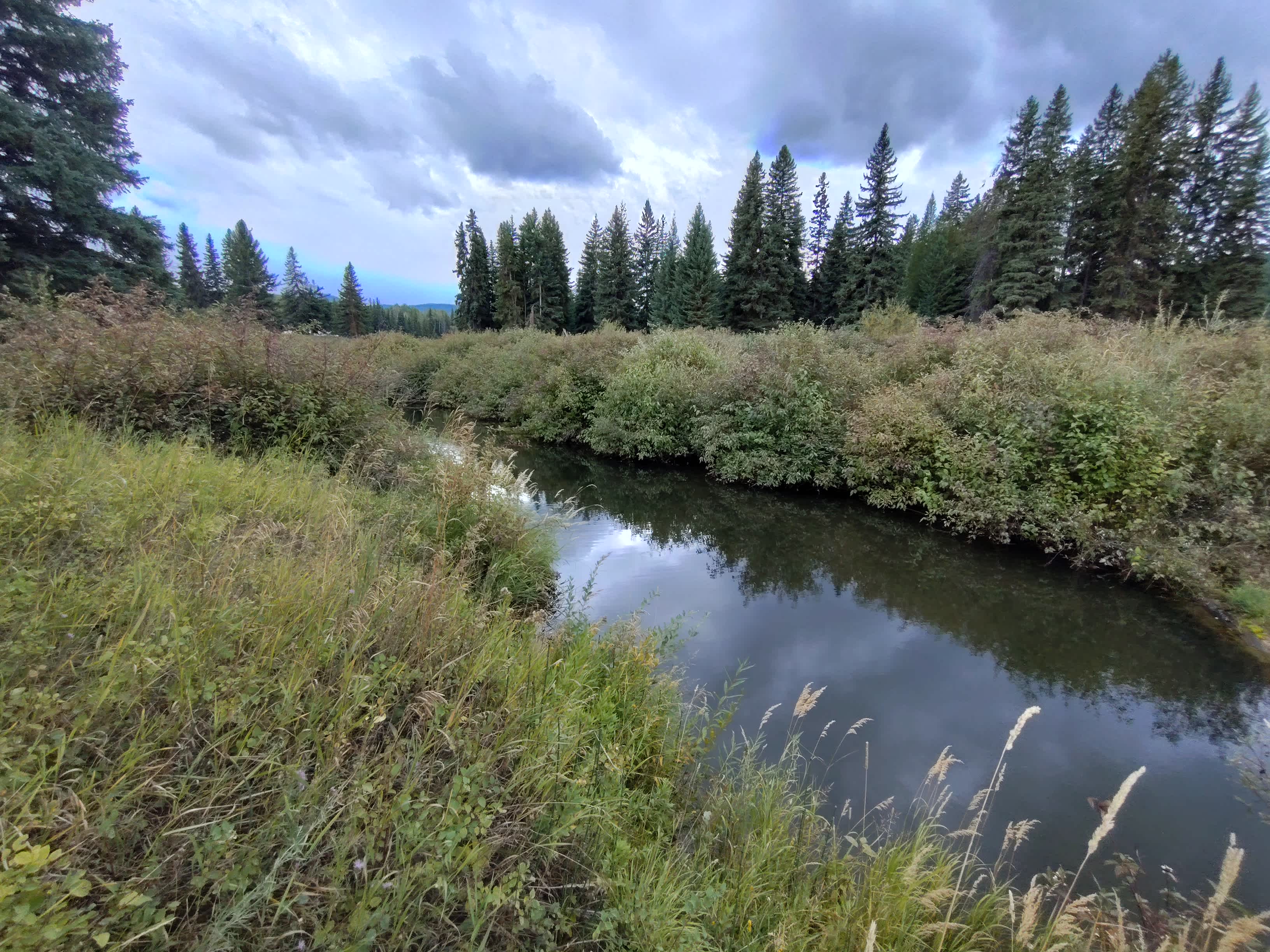 Secret Creekside Spot