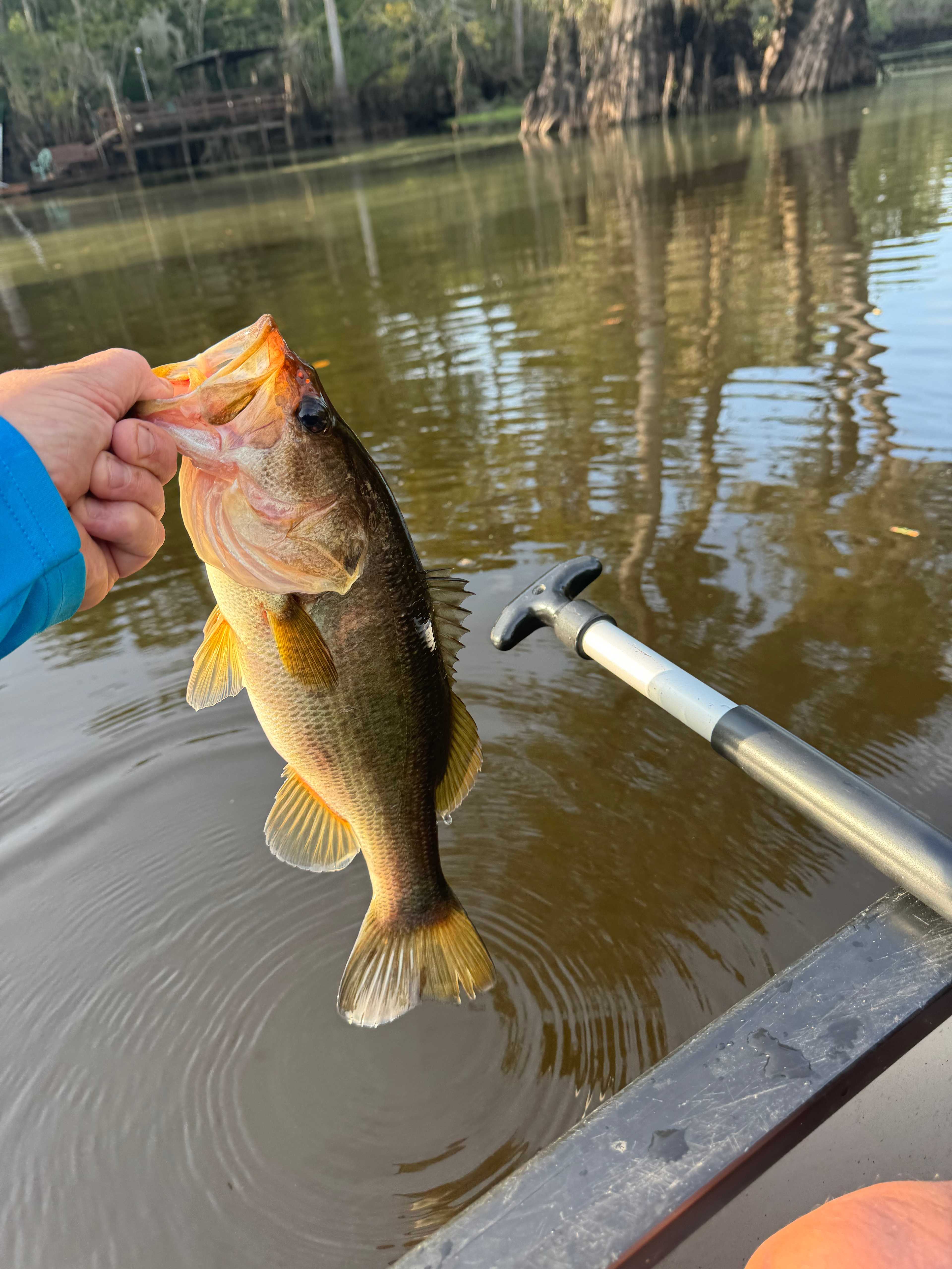 Edisto River Luxury RV Resort