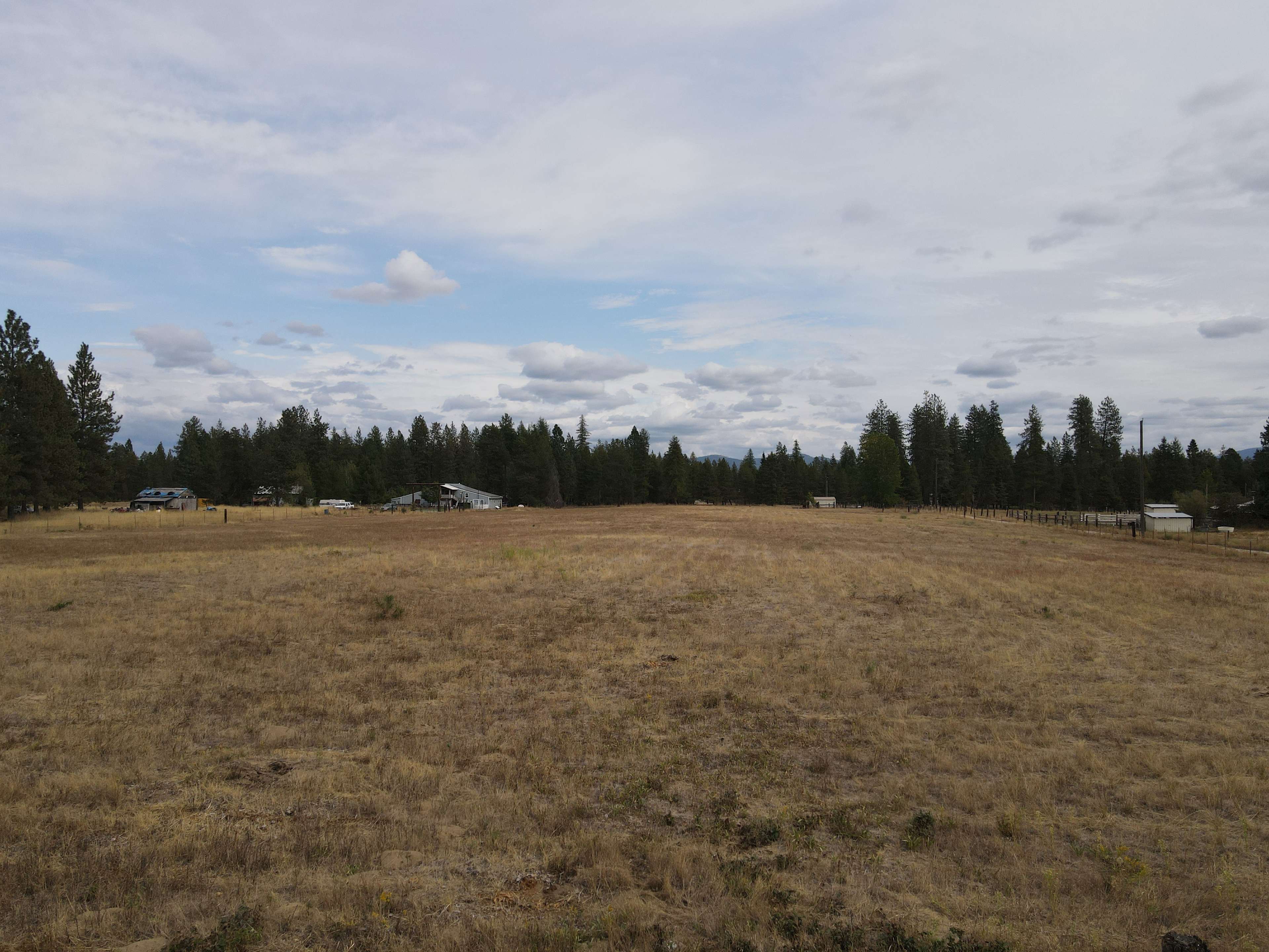 The Someday Ranch