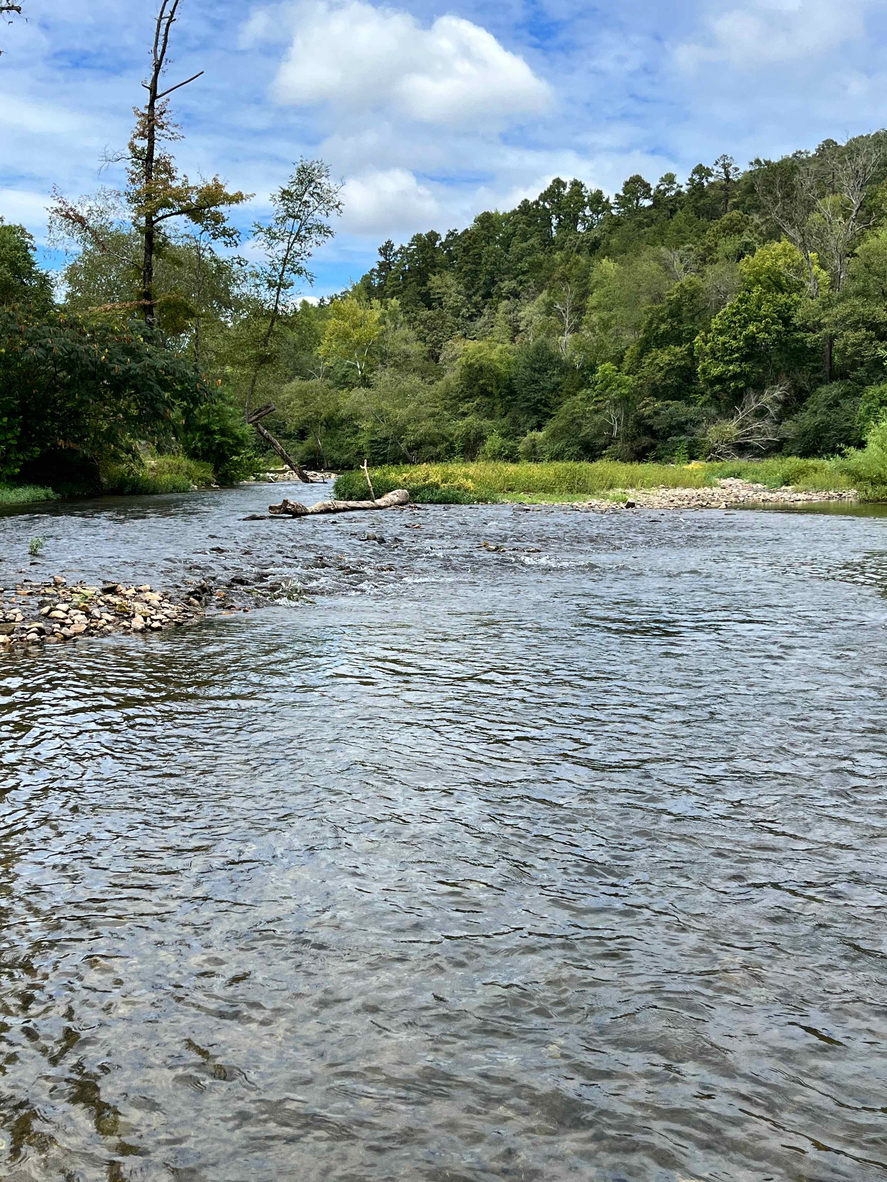 Caddo River Camp: Tent, RV, Cabins