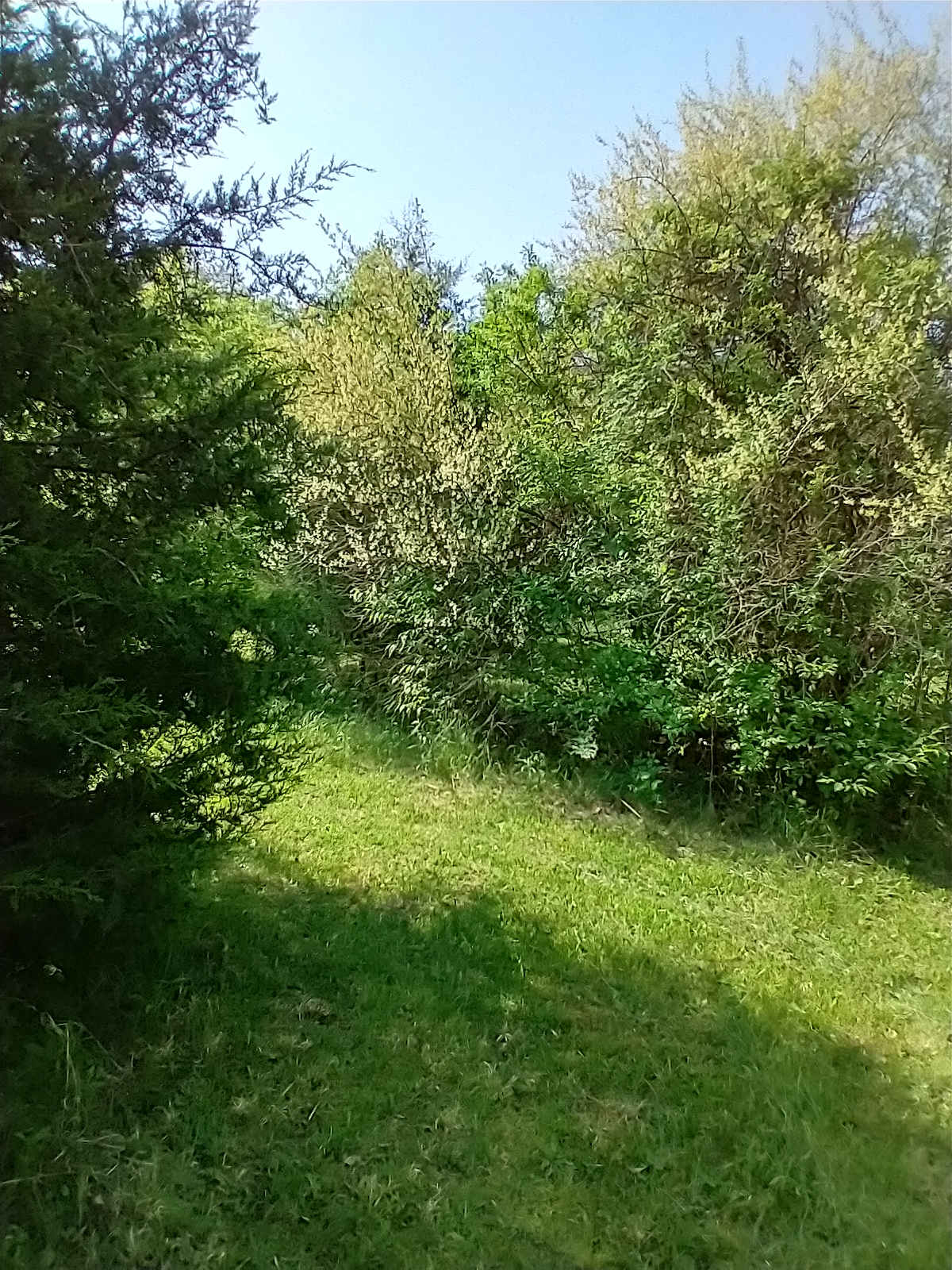 Arnold Acres